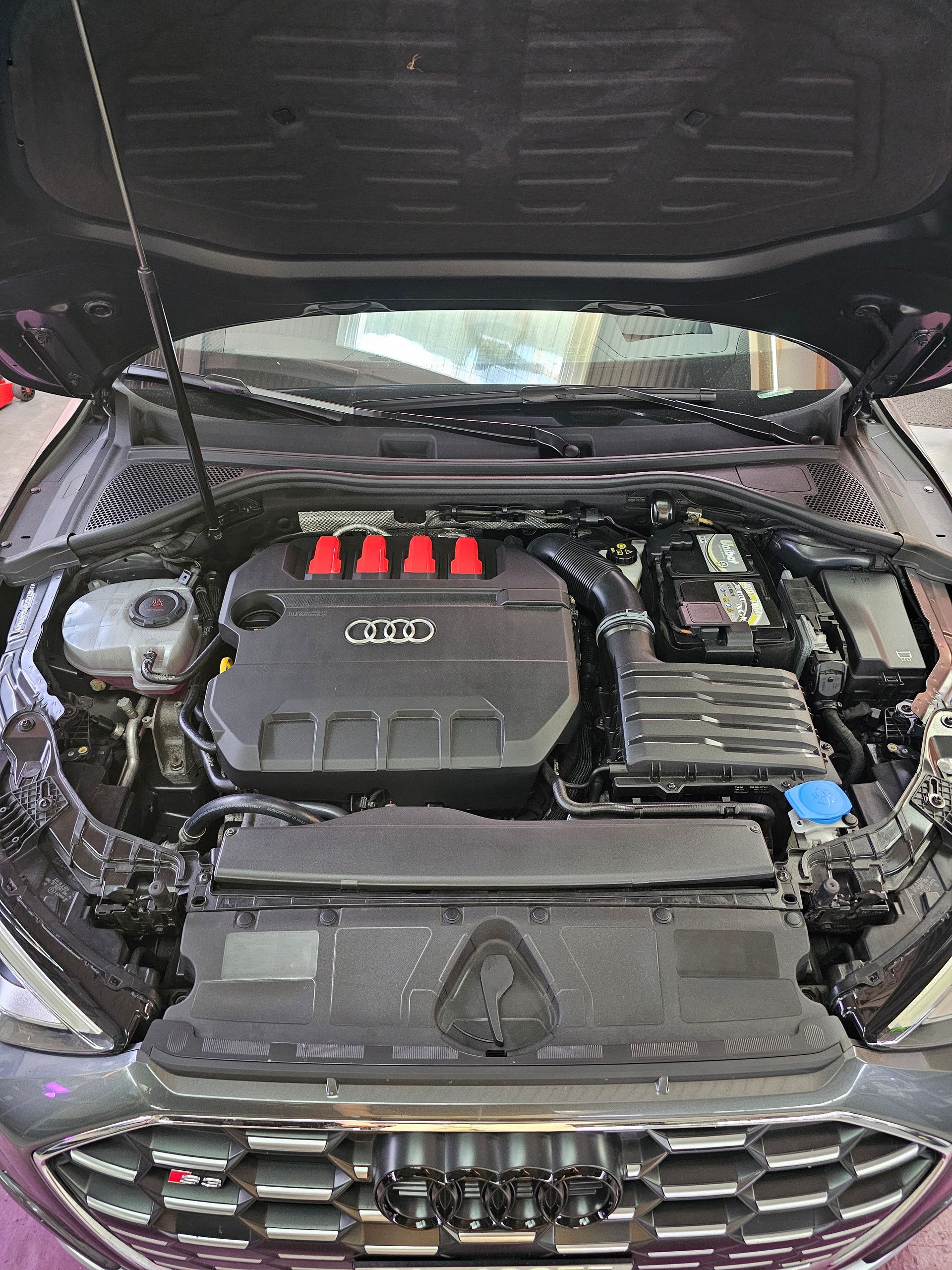 AUDI 2.0 TFSI quattro S-Tronic, FOX, HJS, Eibach-image-15