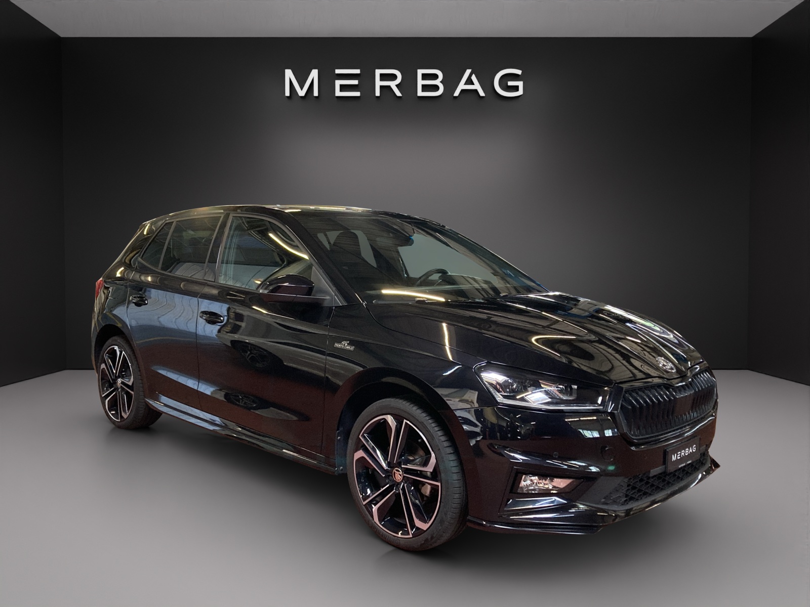SKODA Fab. 1.0 TSI Mon. Car DSG-image-2