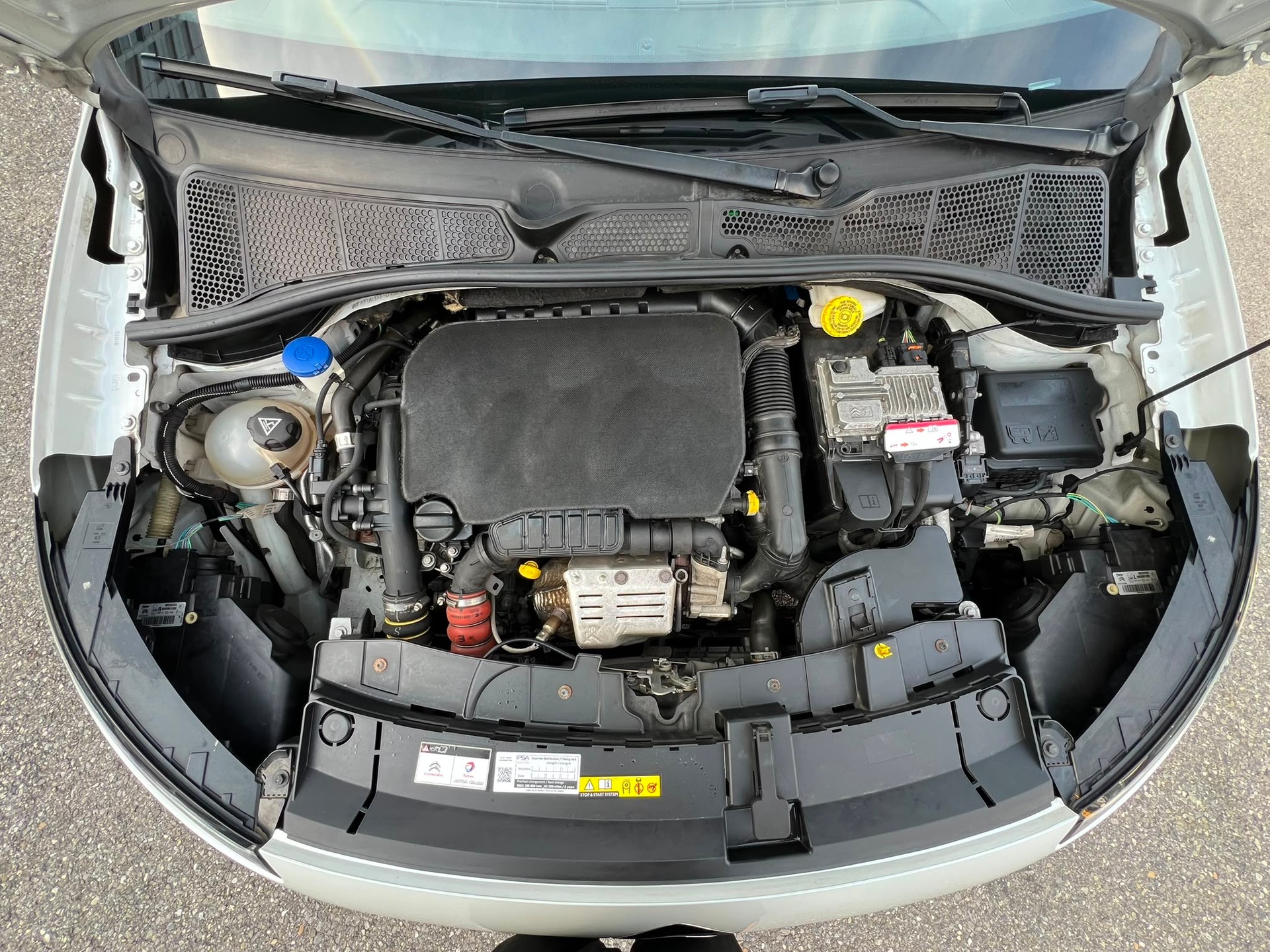 CITROEN C4 Cactus 1.2 VTi Shine-image-12