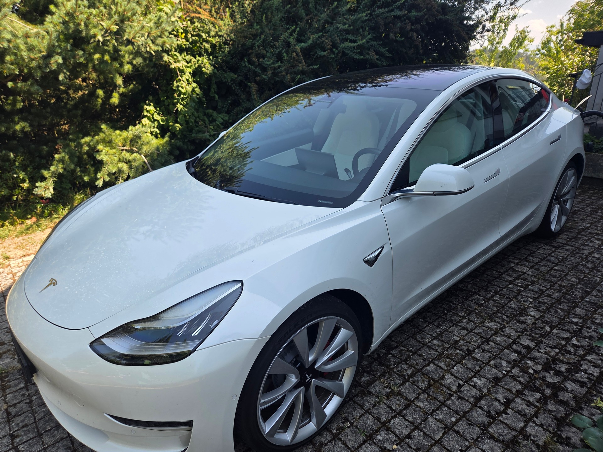 TESLA Performance D