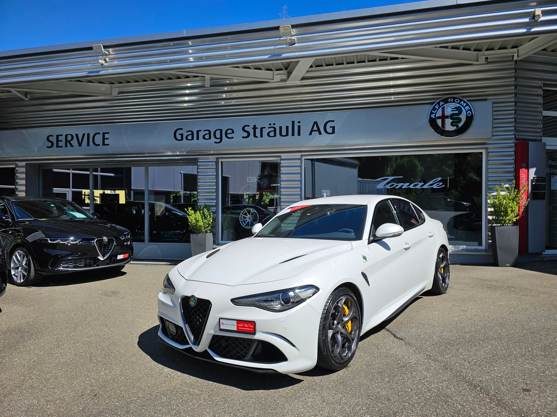 ALFA ROMEO Giulia 2.9 V6 Quadrifoglio-image-0