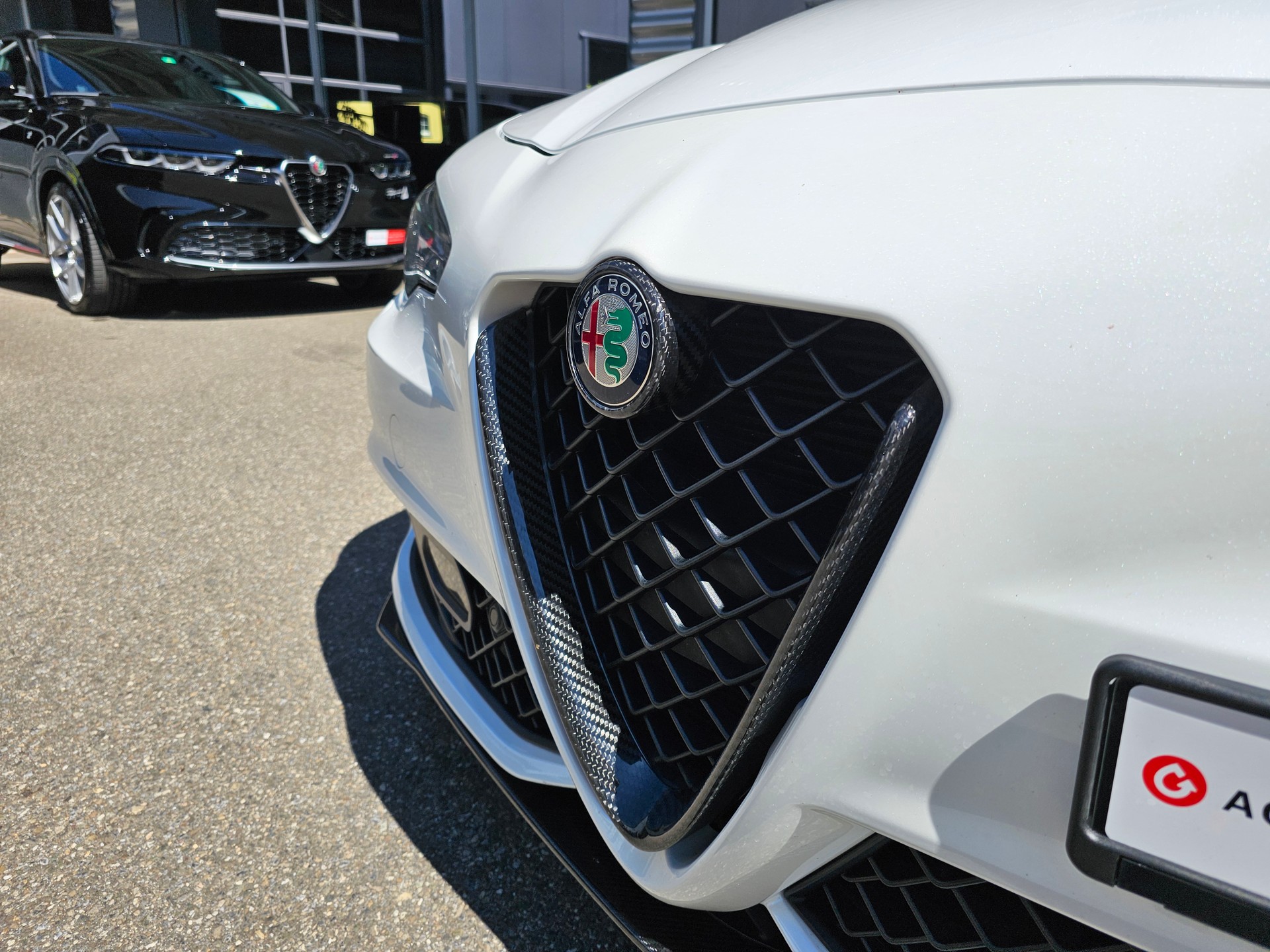 ALFA ROMEO Giulia 2.9 V6 Quadrifoglio-image-5