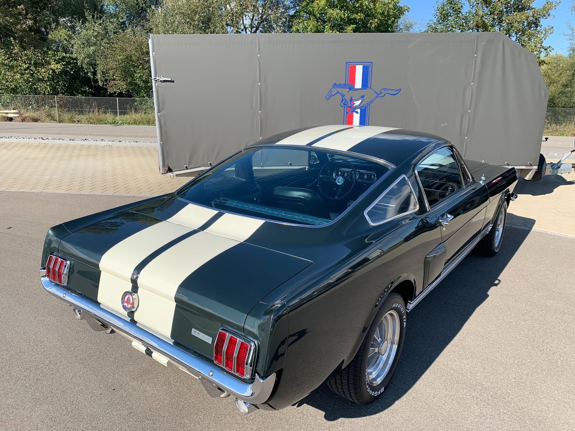 FORD MUSTANG Shelby GT350-image-4