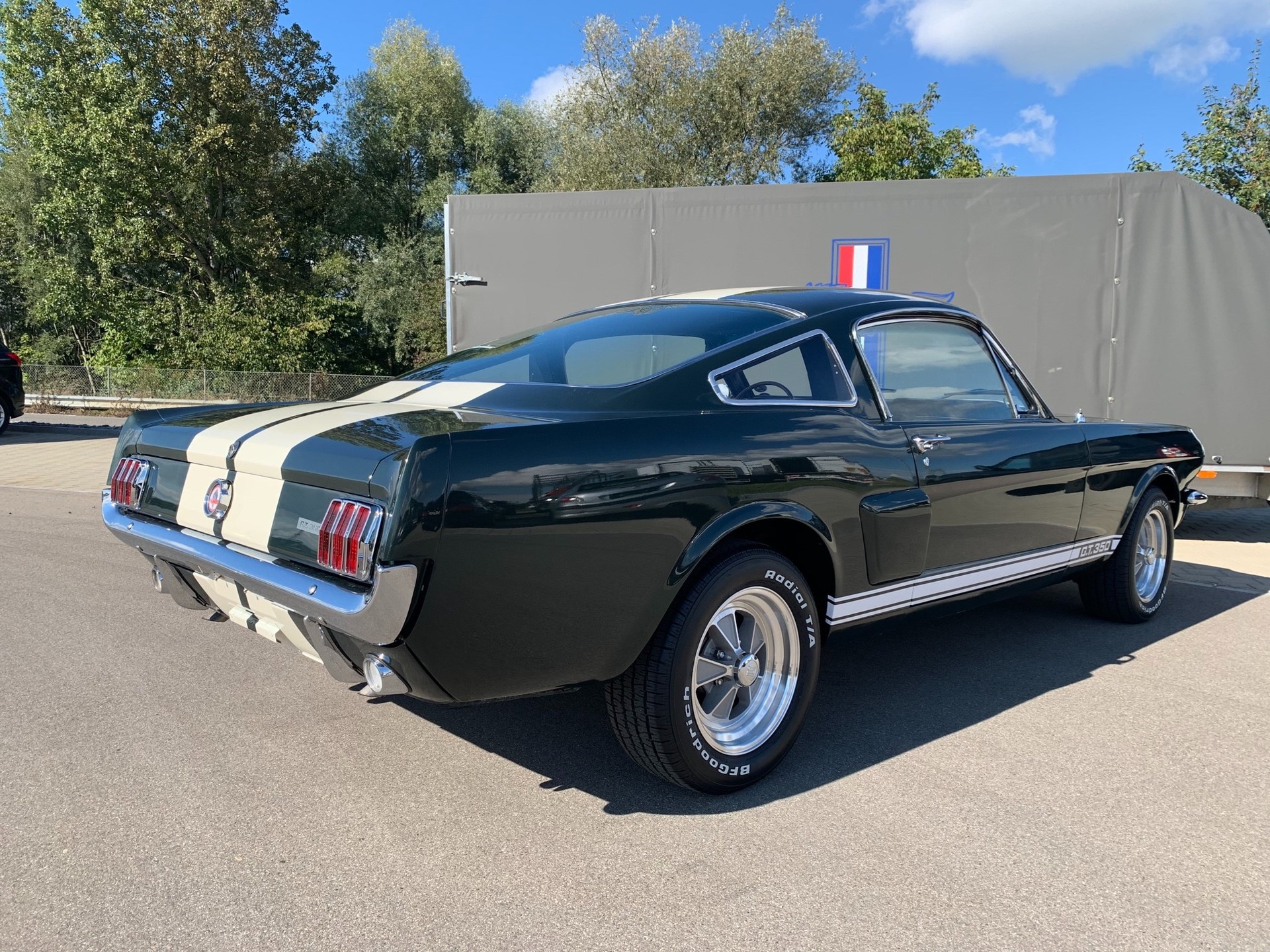 FORD MUSTANG Shelby GT350-image-5