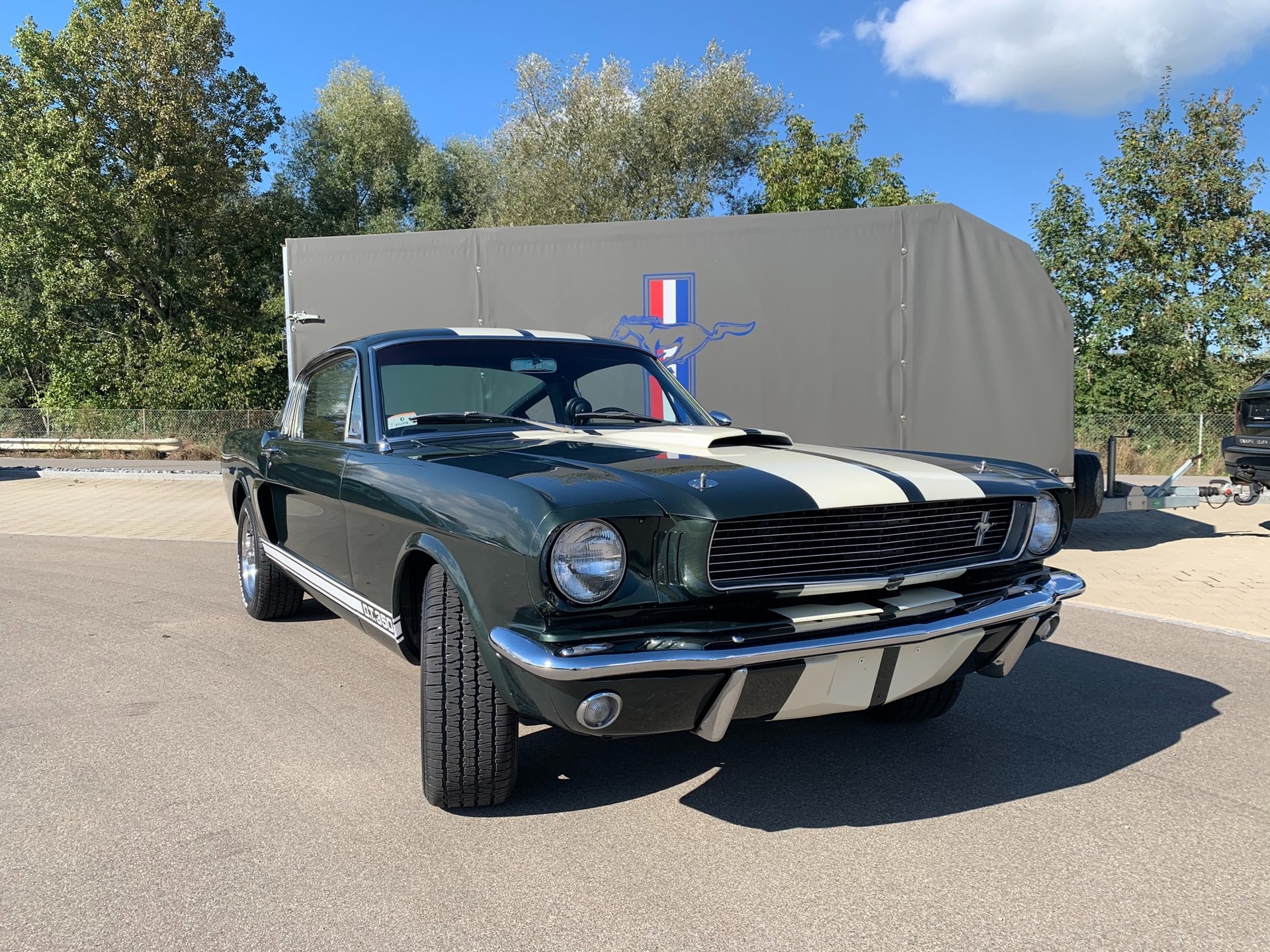 FORD MUSTANG Shelby GT350-image-0