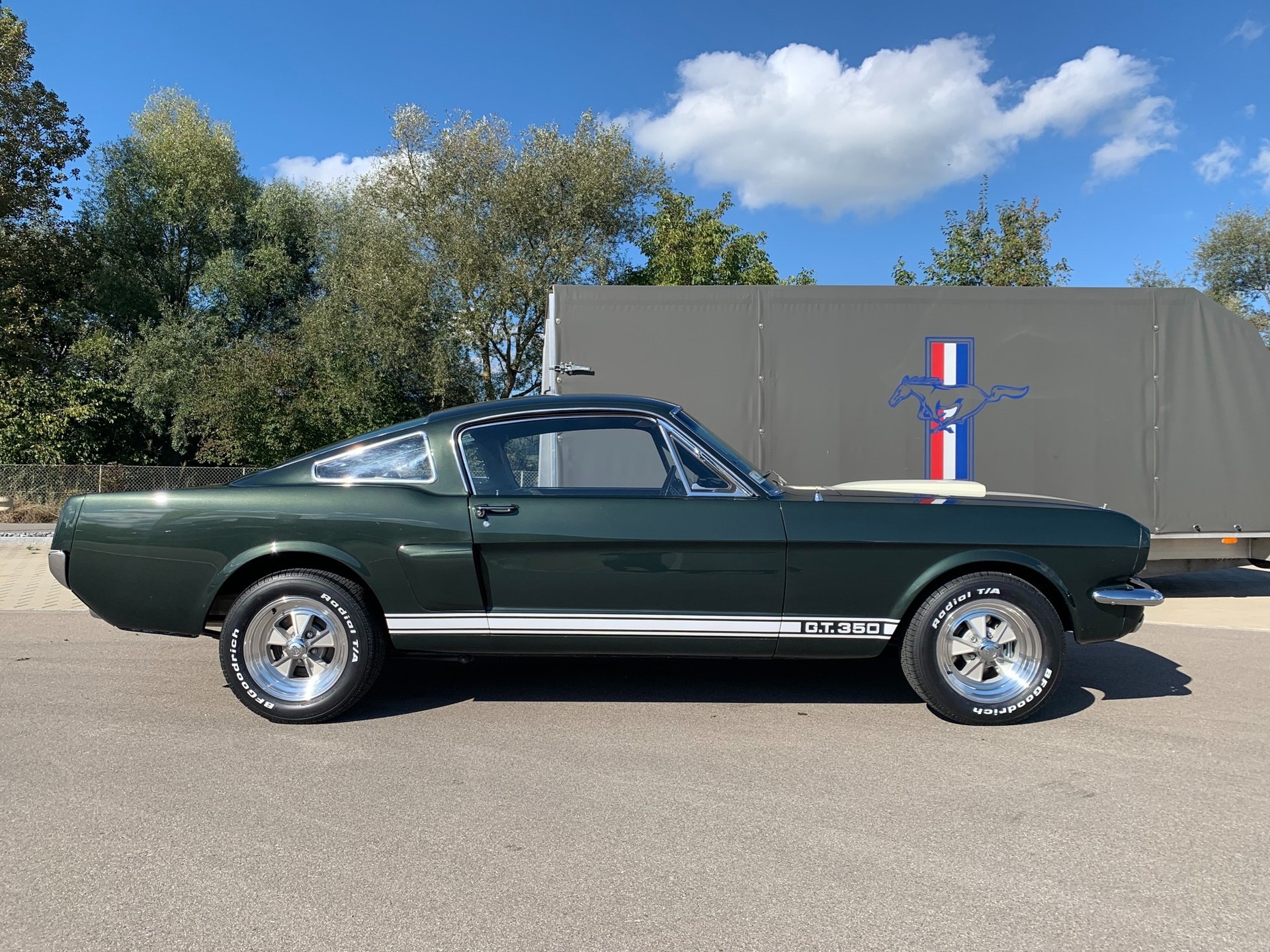 FORD MUSTANG Shelby GT350-image-2