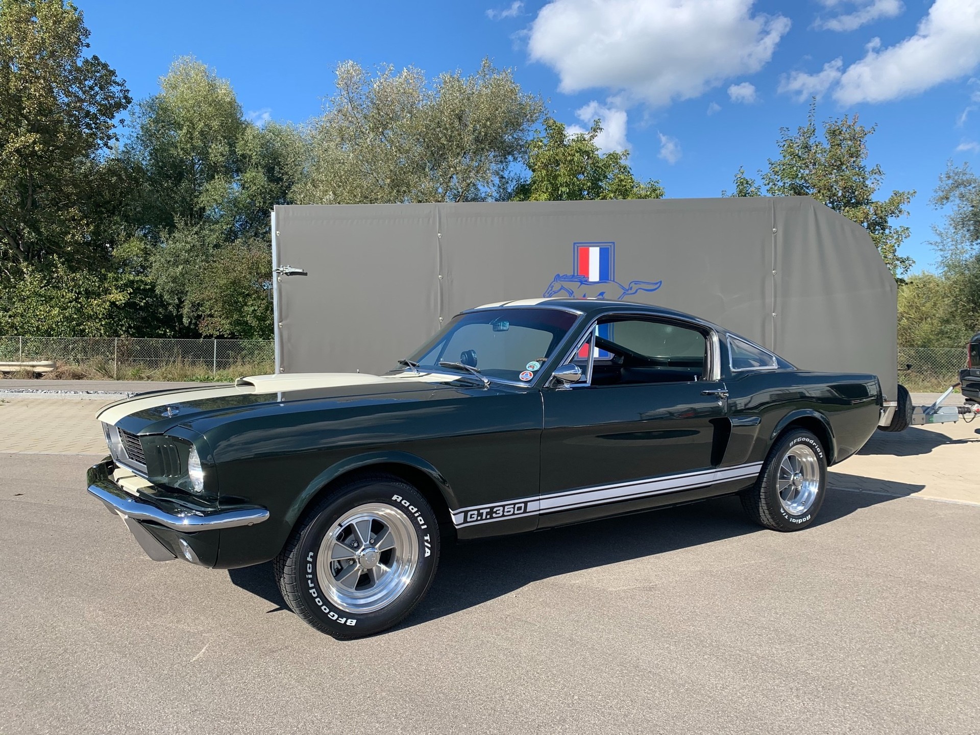 FORD MUSTANG Shelby GT350-image-3