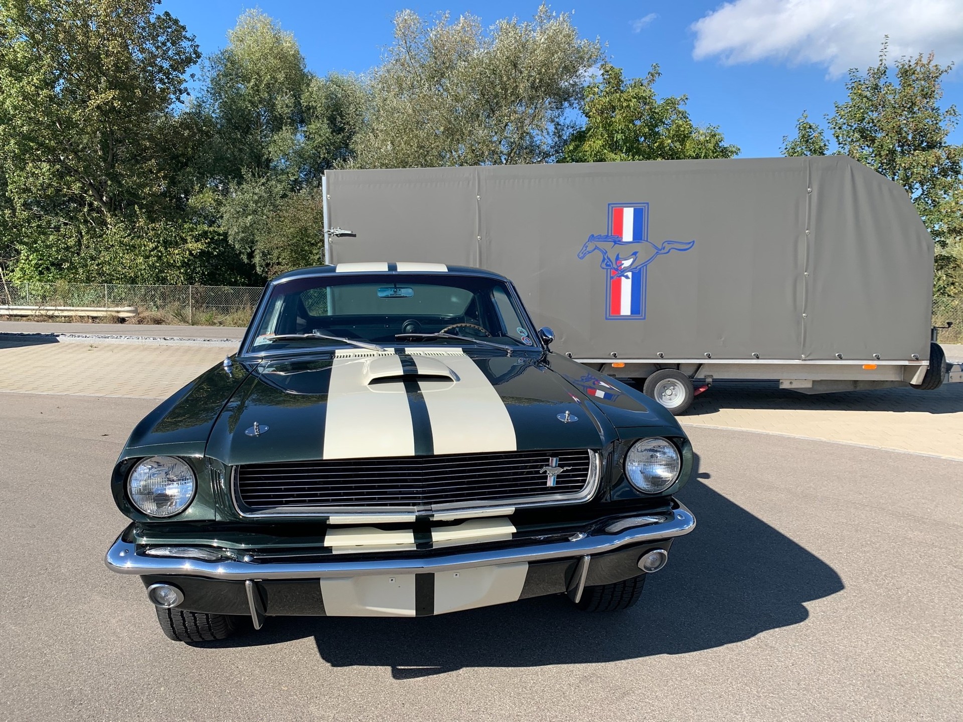 FORD MUSTANG Shelby GT350-image-1