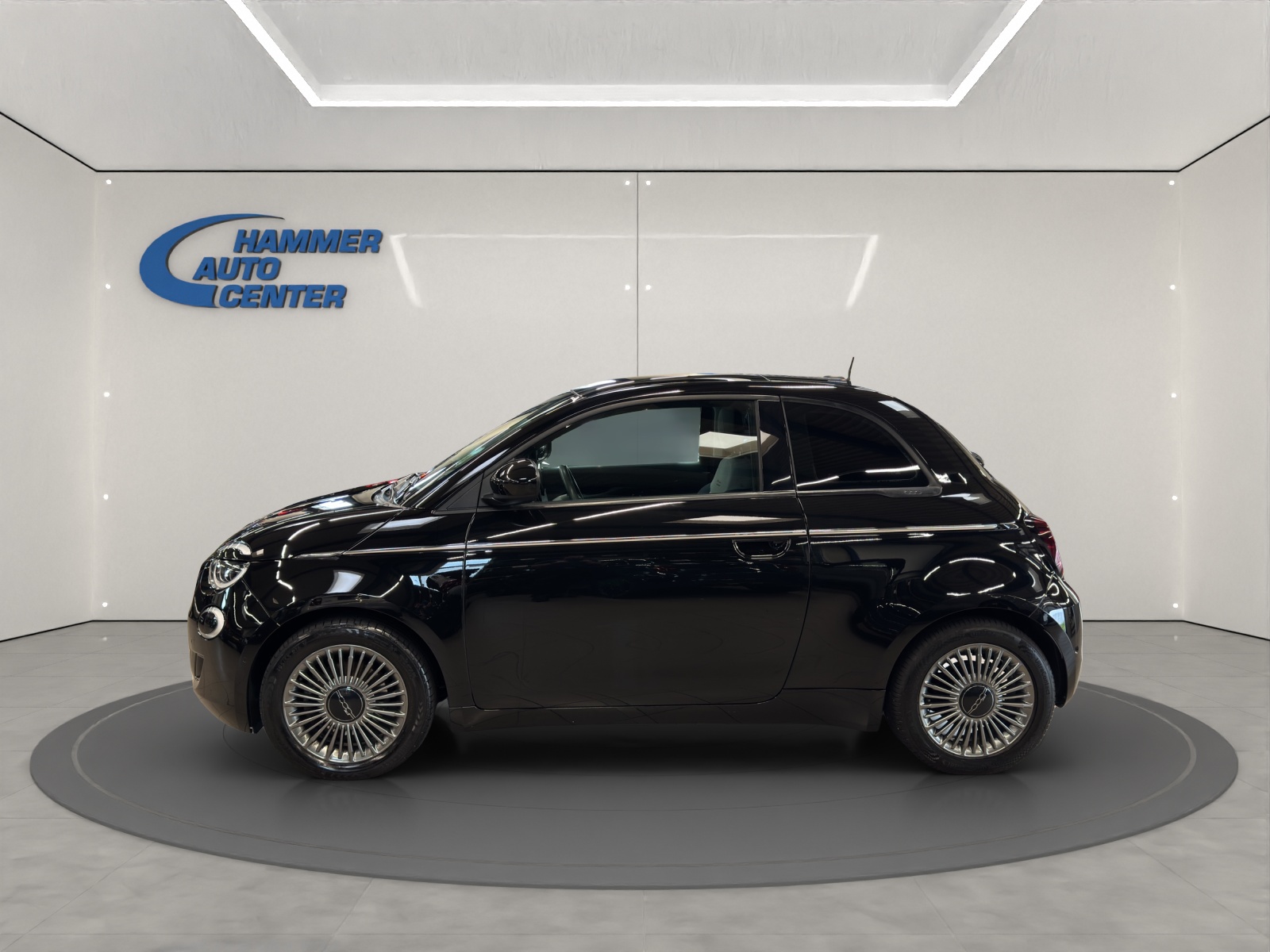 FIAT 500 Icon-image-1