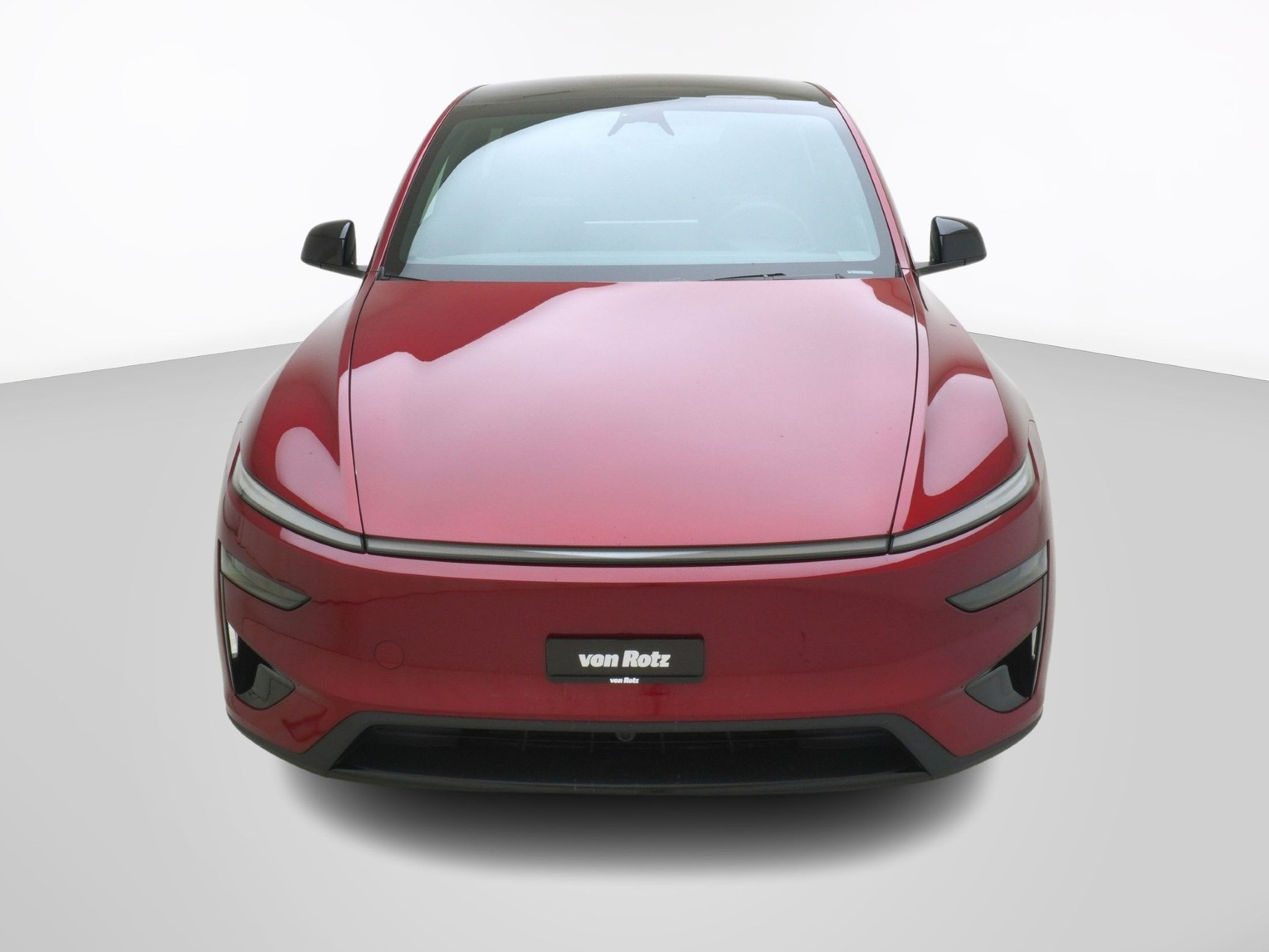 TESLA Model Y Performance AWD-image-7