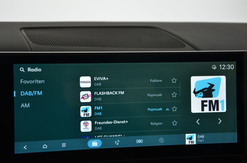 HYUNDAI Santa Fe 1.6 PHEV Premium 4WD-image-16