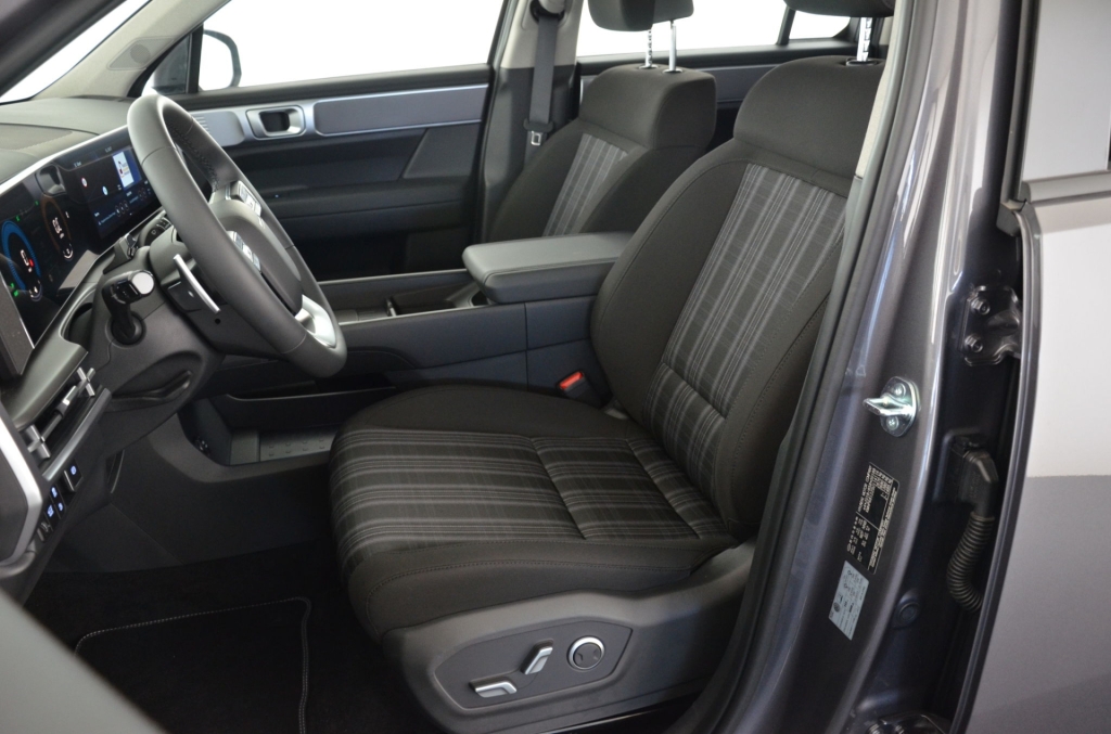 HYUNDAI Santa Fe 1.6 PHEV Premium 4WD-image-11