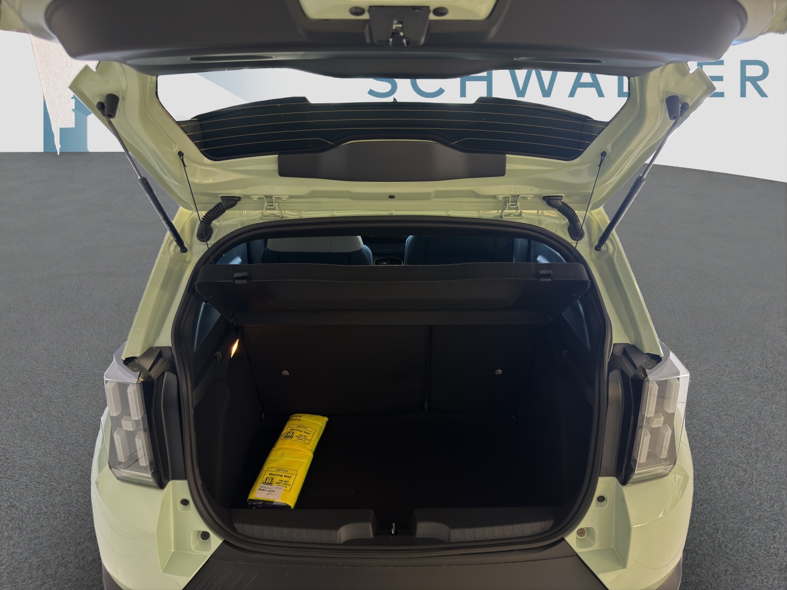 BMW GRANDE PANDA 1.2 Hybrid La Prima-image-6