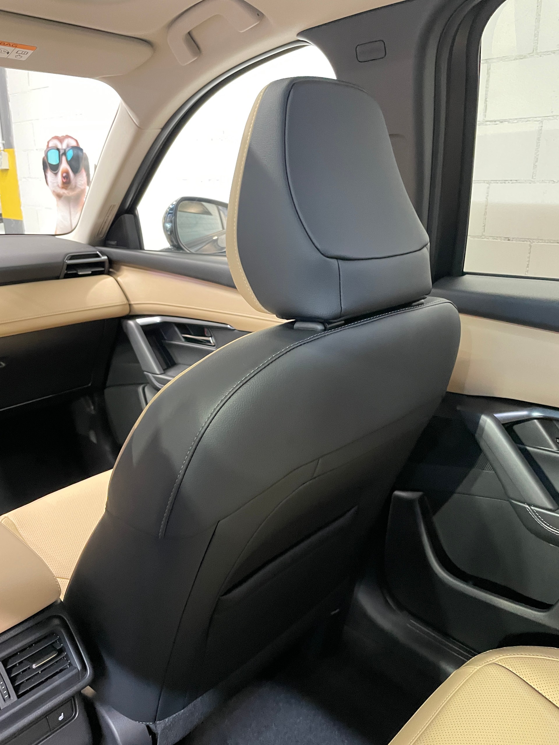 MAZDA CX-5 e-Skyactiv-G 141 Homura AWD mit AHK-image-13