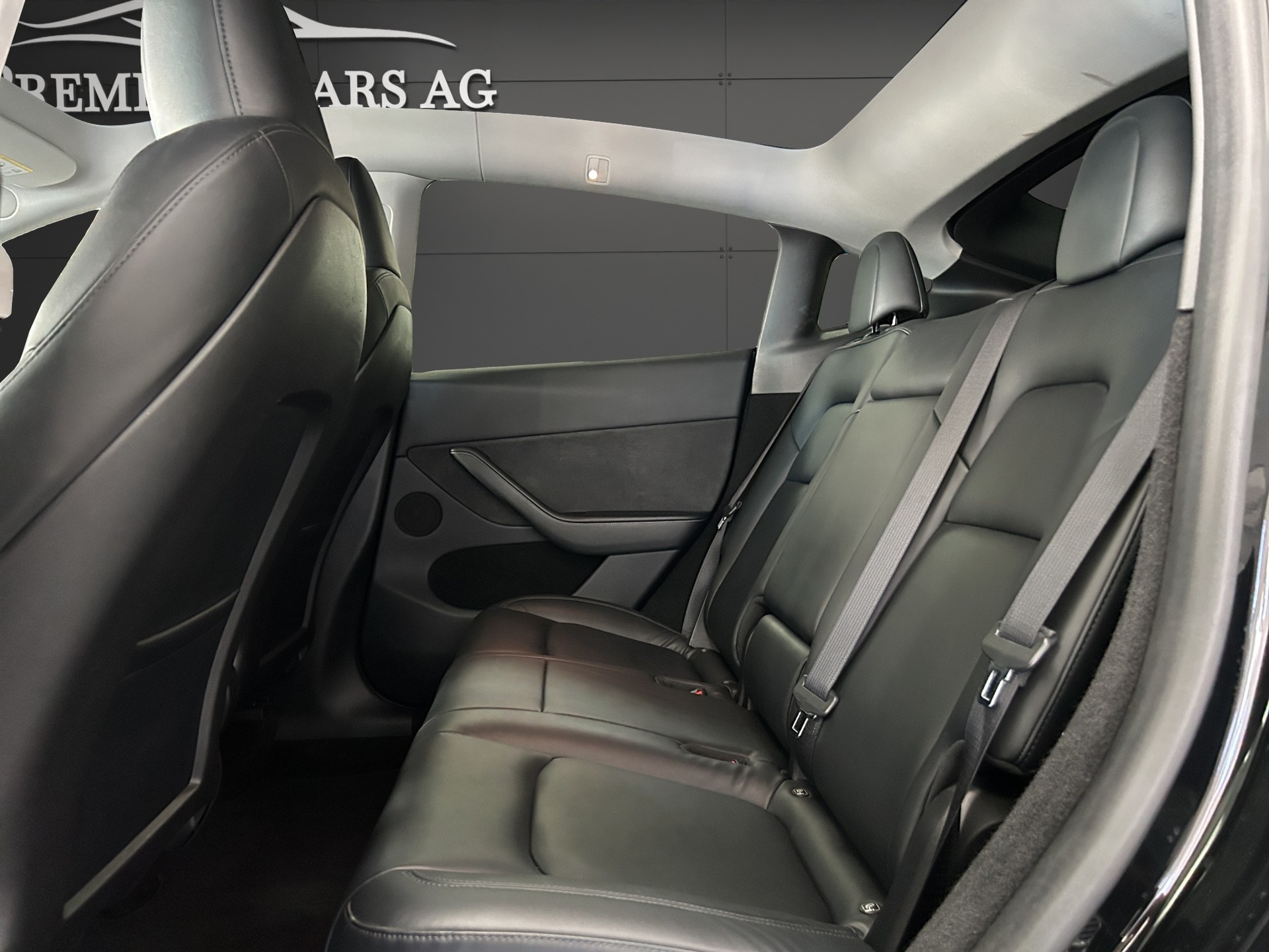 TESLA Model Y Performance / Anhängervorrichtung-image-6