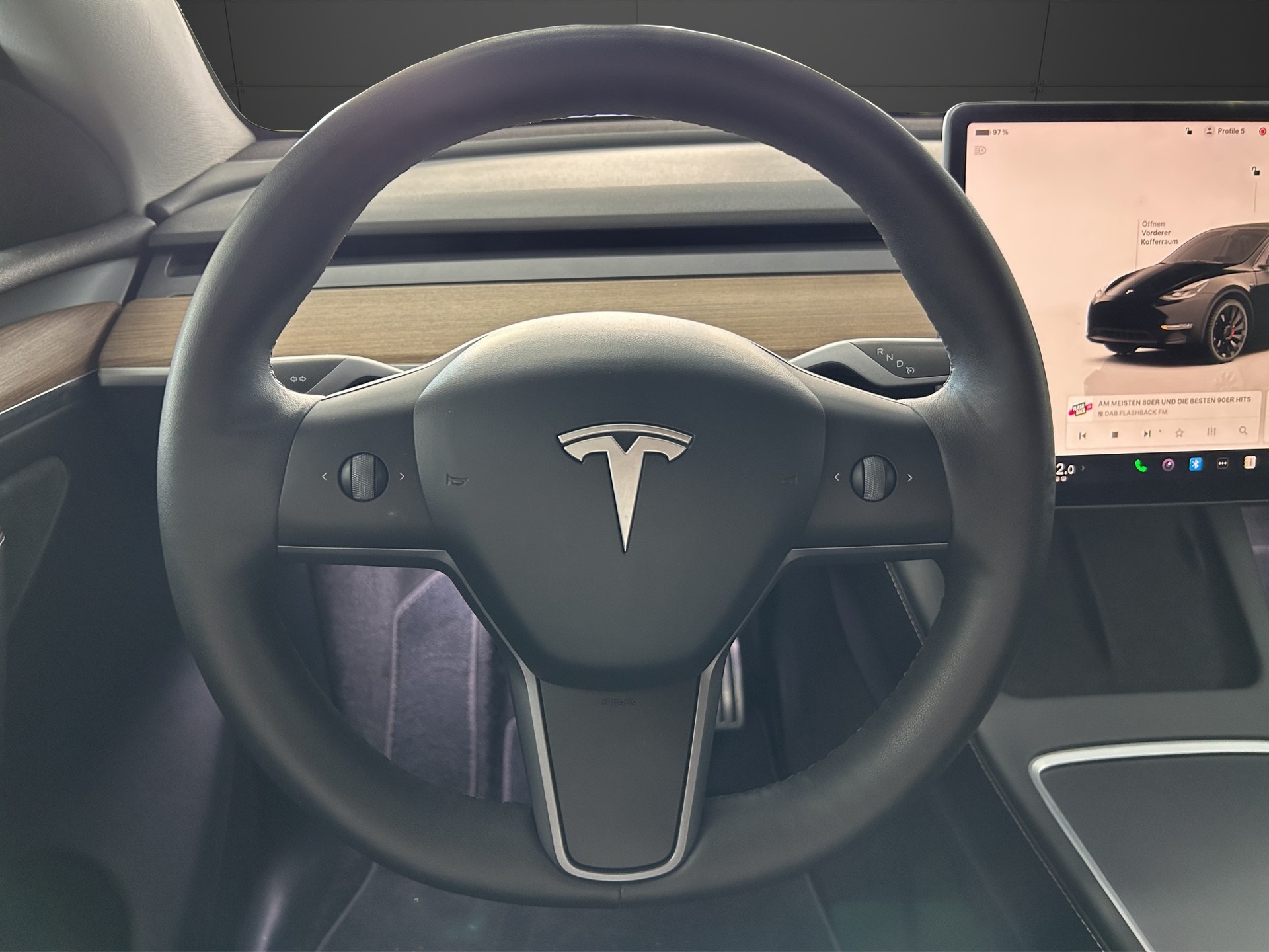 TESLA Model Y Performance / Anhängervorrichtung-image-9