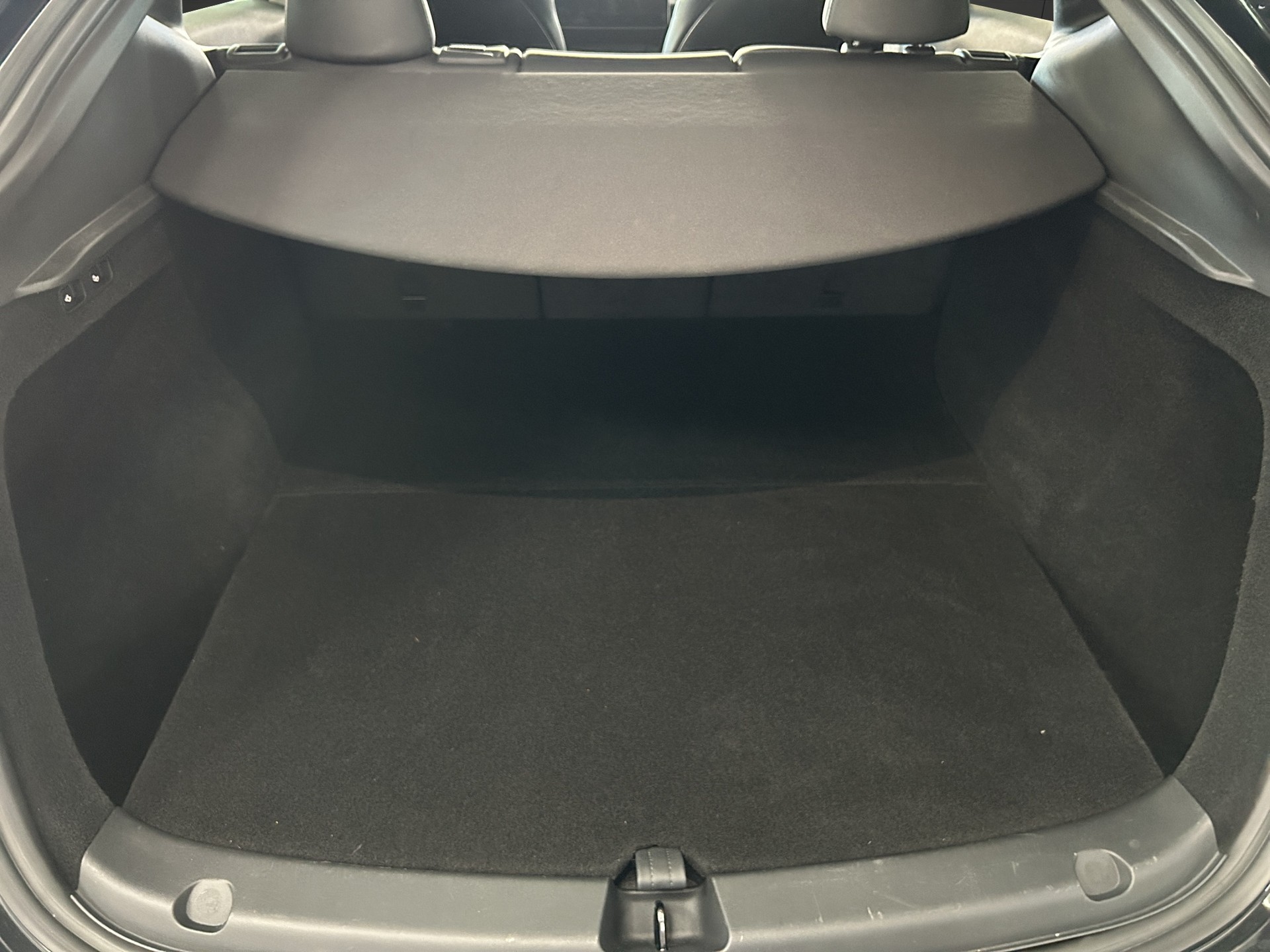 TESLA Model Y Performance / Anhängervorrichtung-image-10