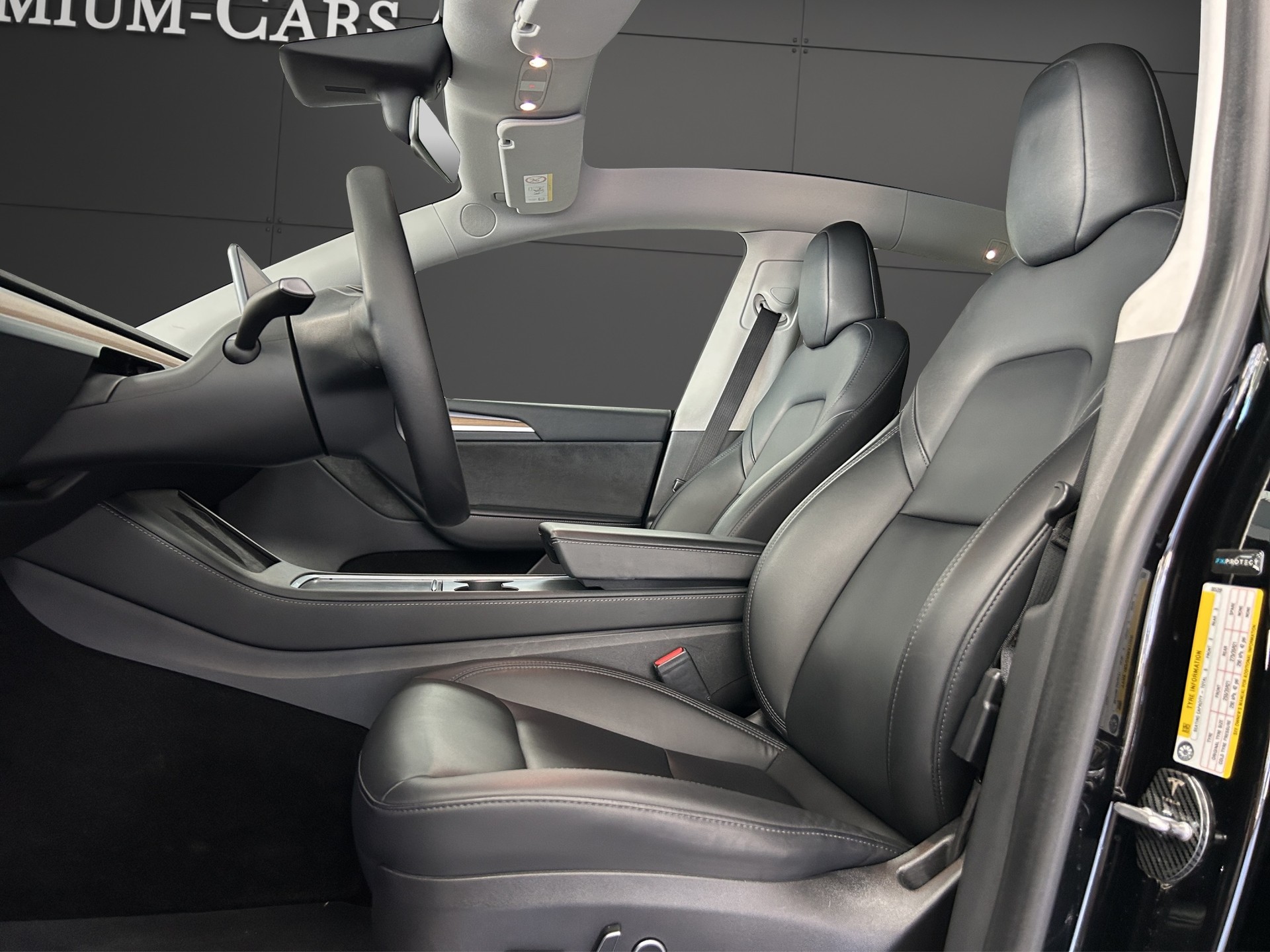 TESLA Model Y Performance / Anhängervorrichtung-image-5