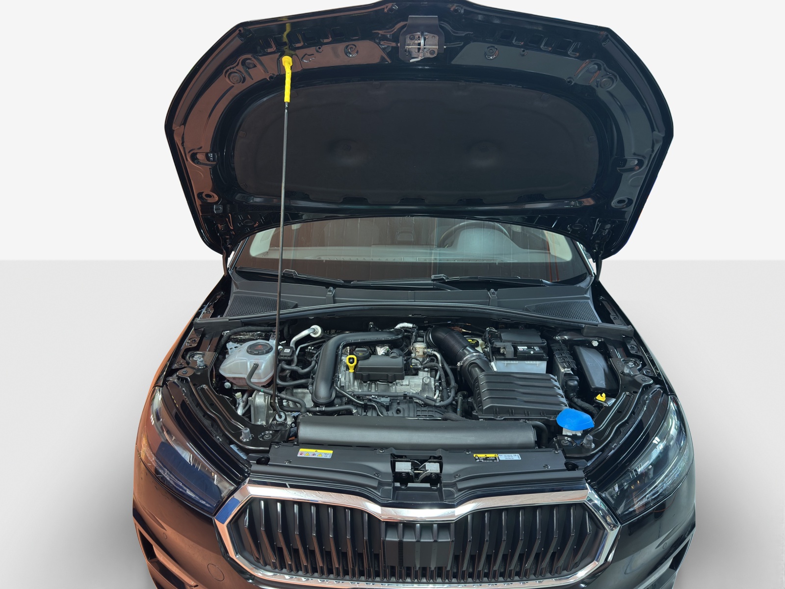 SKODA Fabia 1.0 TSI Ambition DSG-image-15