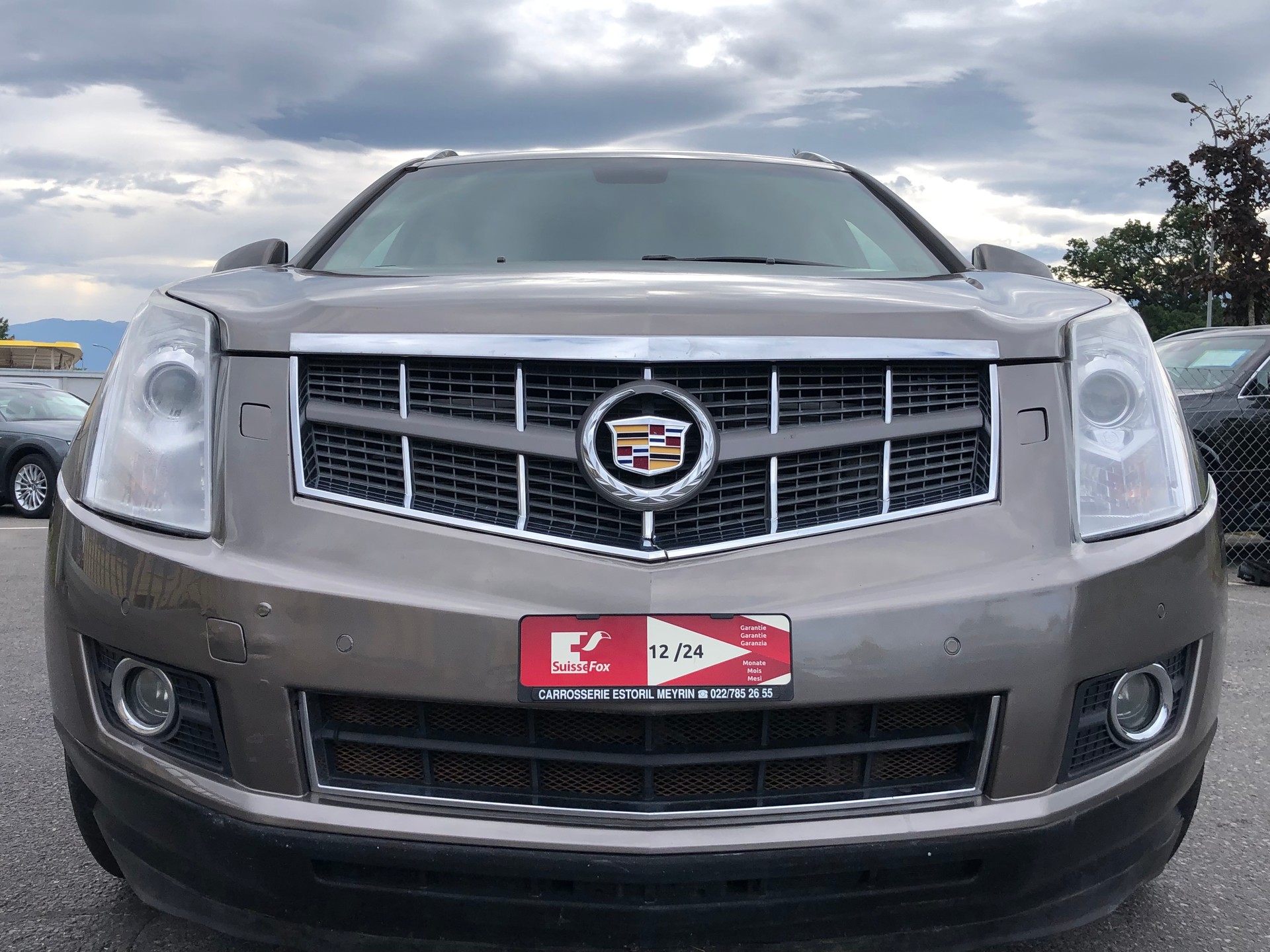 CADILLAC SRX 3.0 V6 Elegance 4WD Automatic