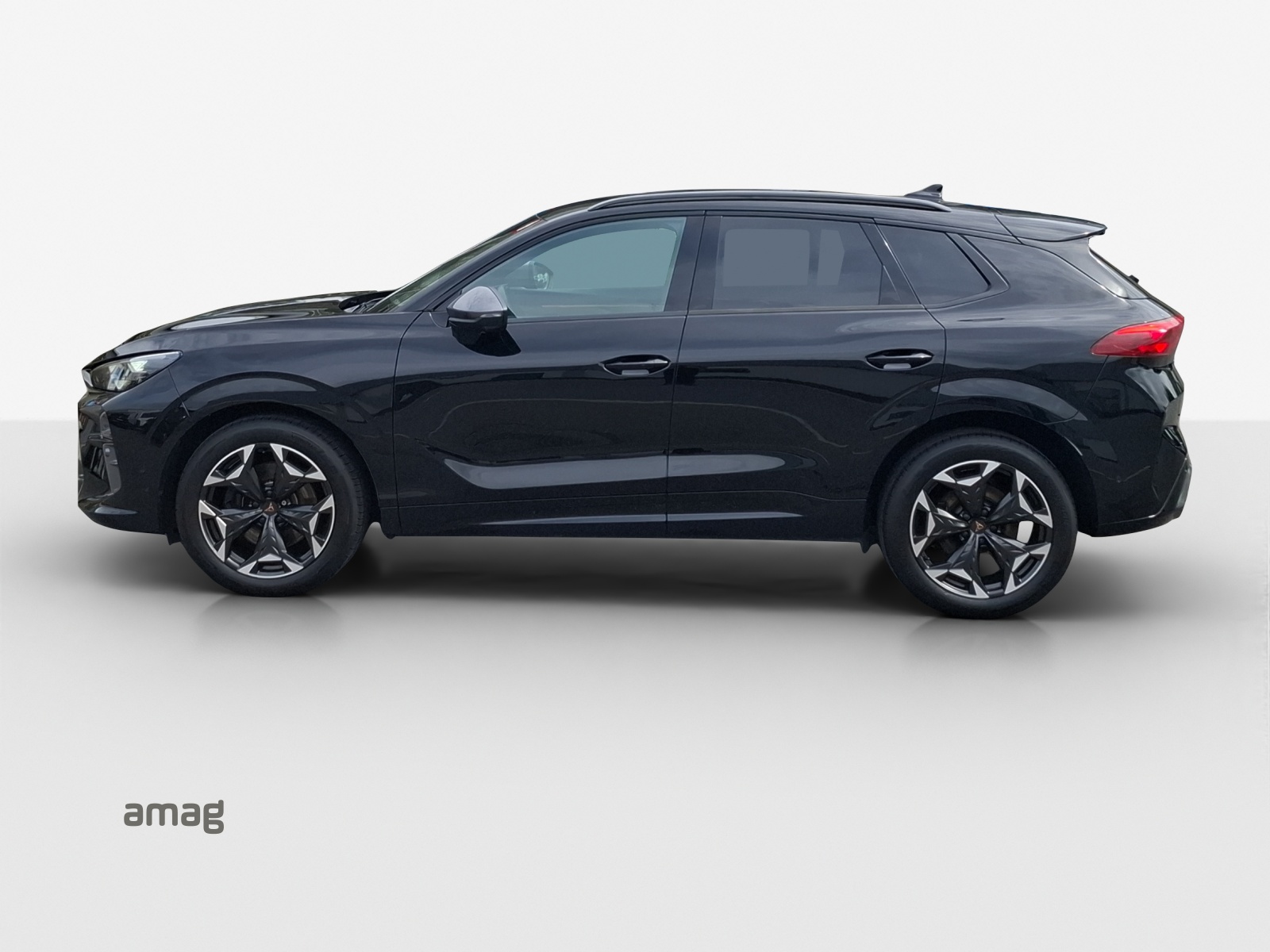 CUPRA Terramar 2.0 TSI DSG 4Drive VZ-image-1