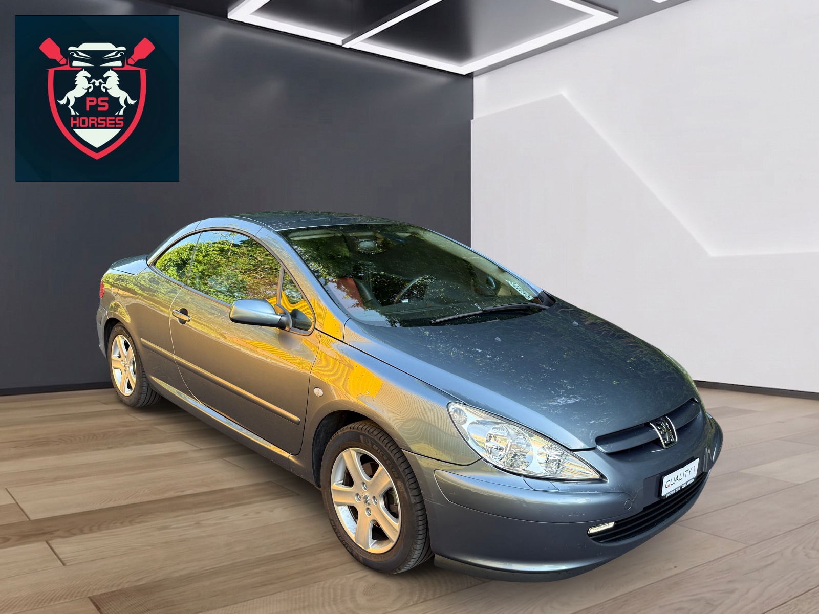 PEUGEOT Cabrio-image-10