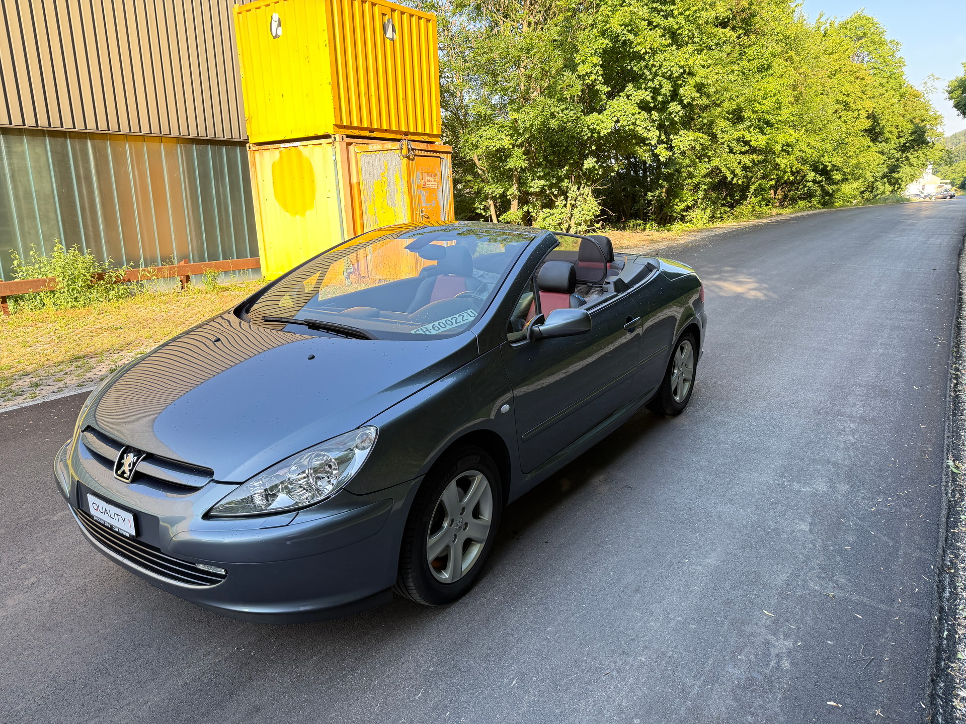 PEUGEOT Cabrio-image-2