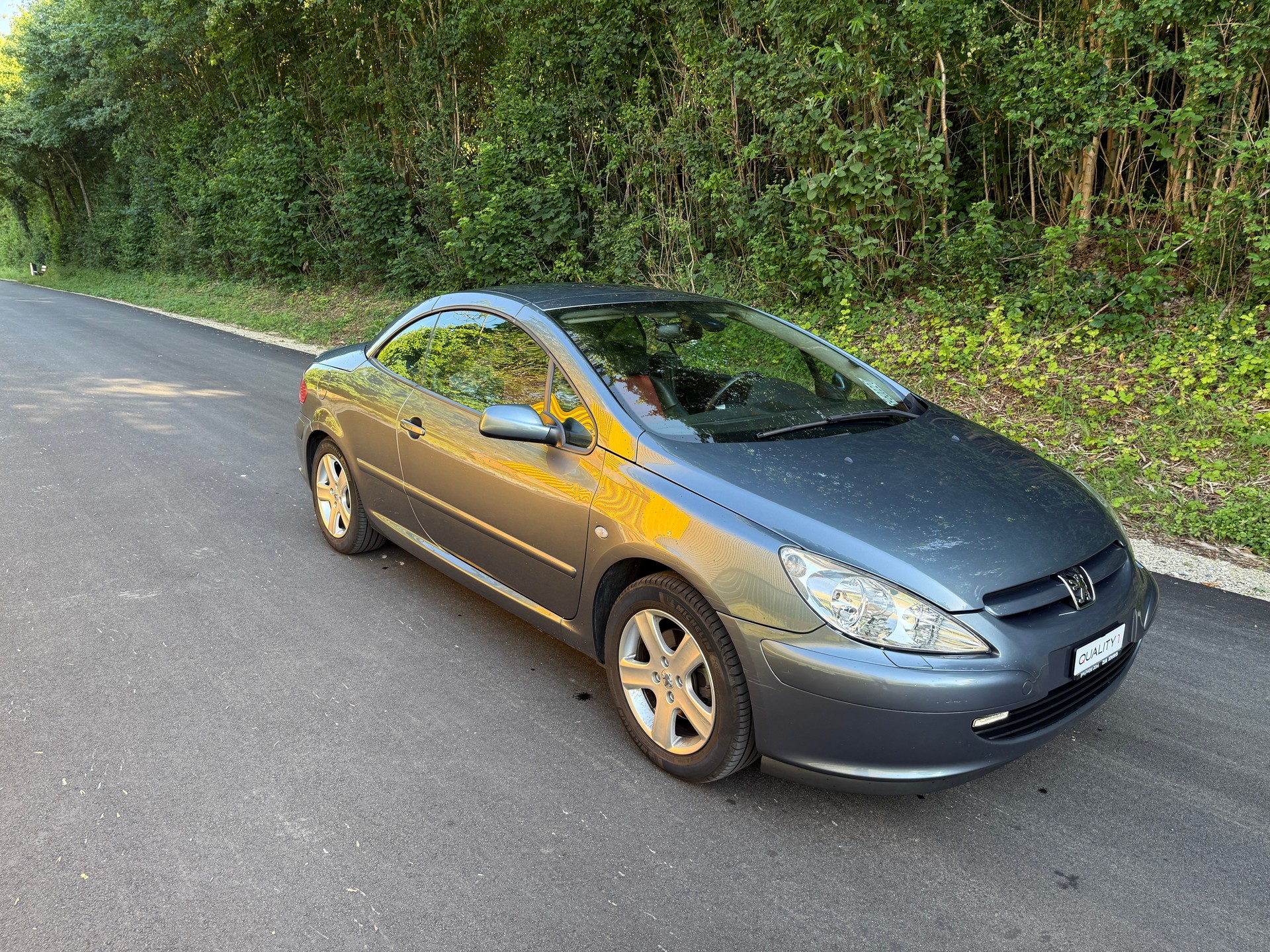 PEUGEOT Cabrio-image-10