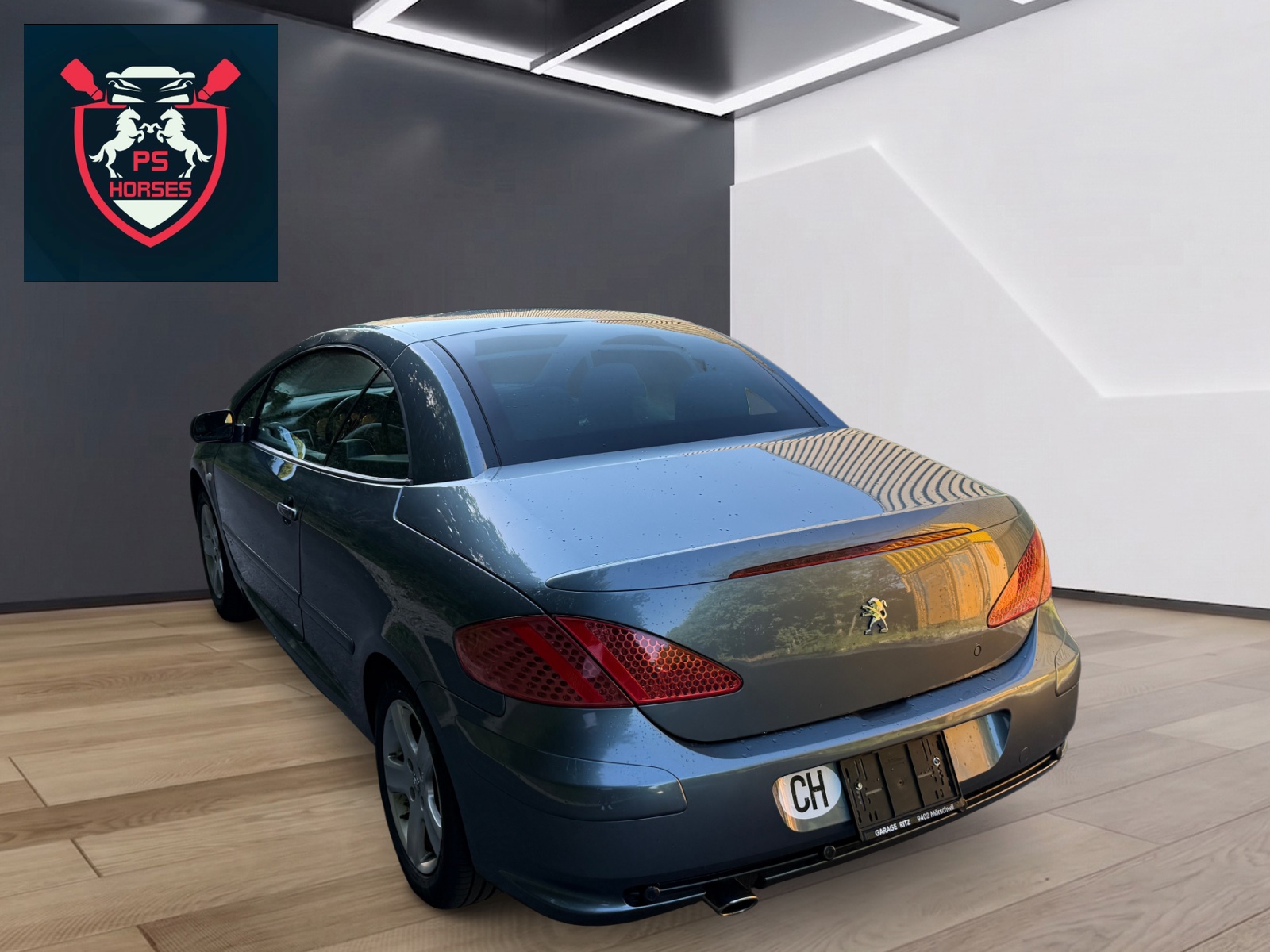 PEUGEOT Cabrio-image-11