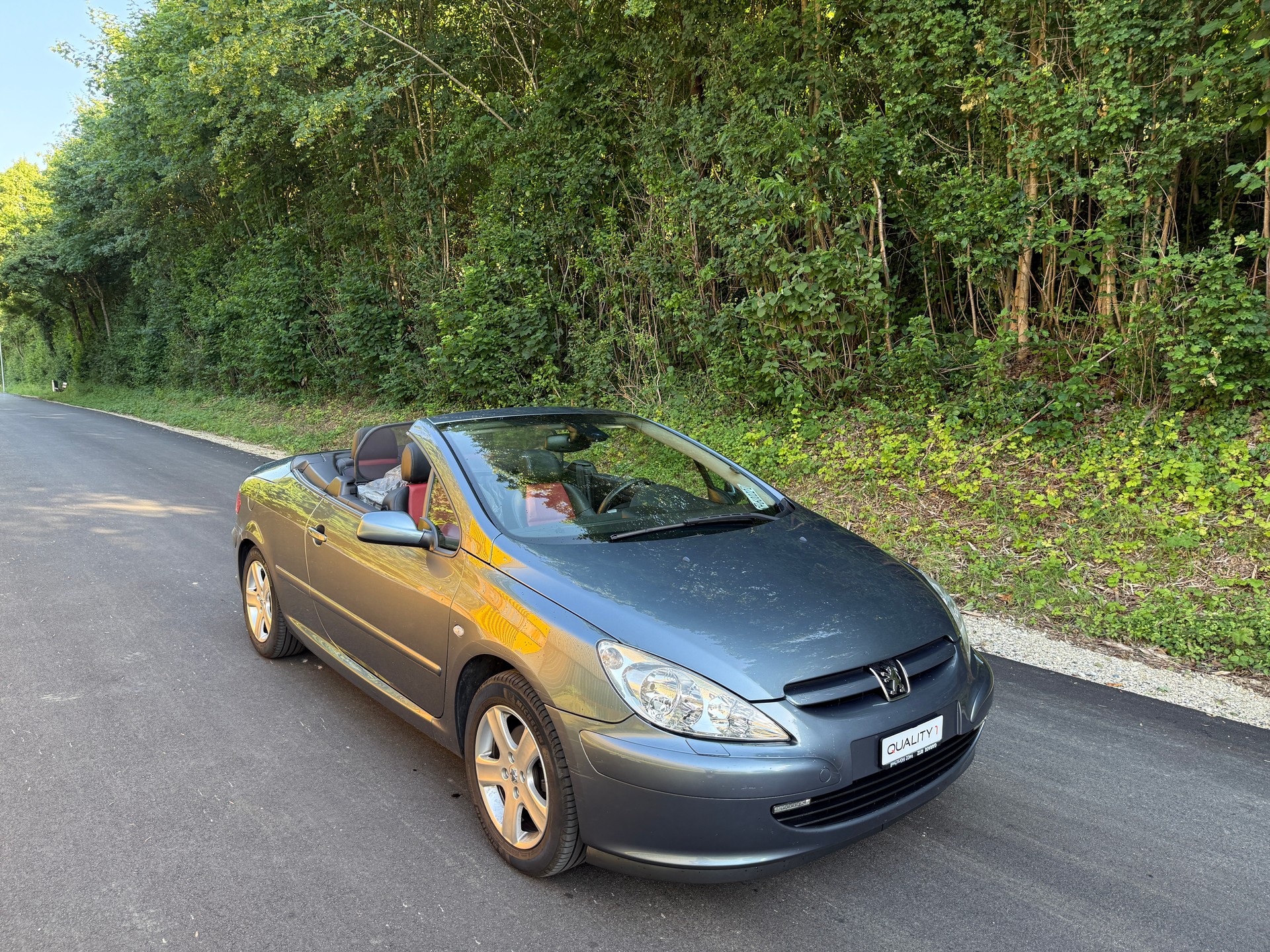 PEUGEOT Cabrio-image-0