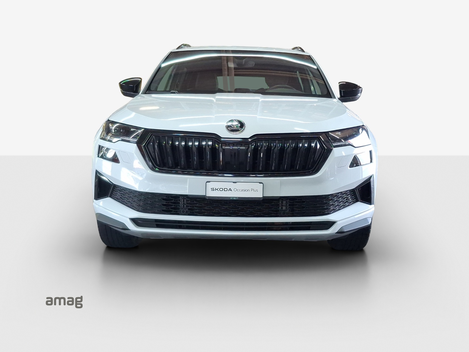 SKODA Karoq 1.5 TSI SportLine DSG-image-6