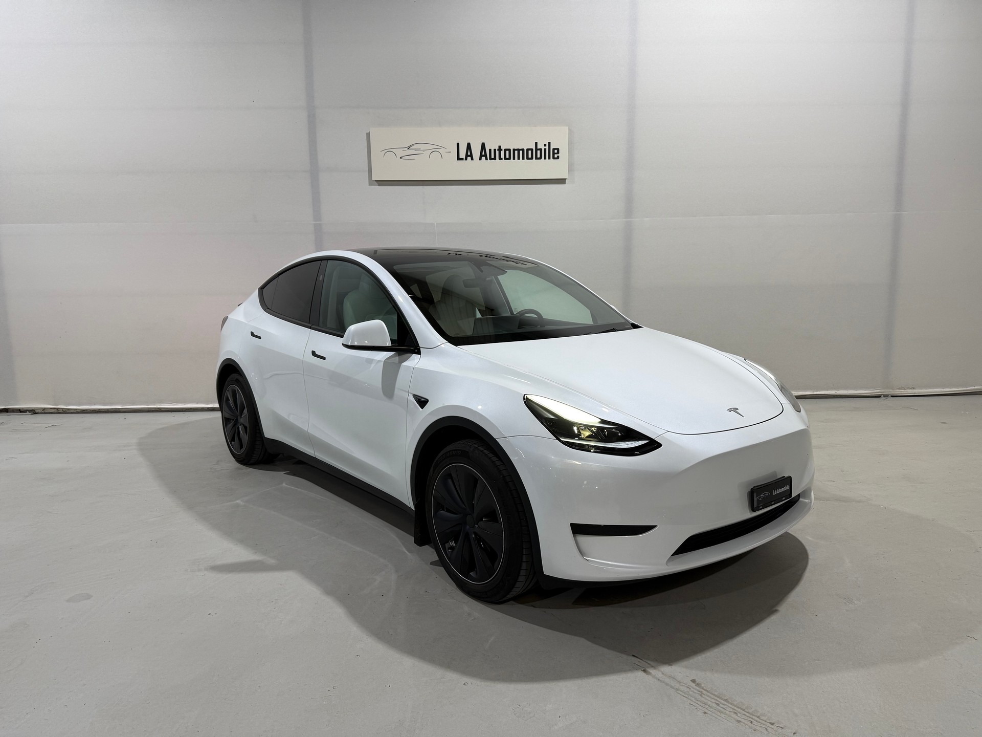 TESLA Model Y Long Range RWD-image-4