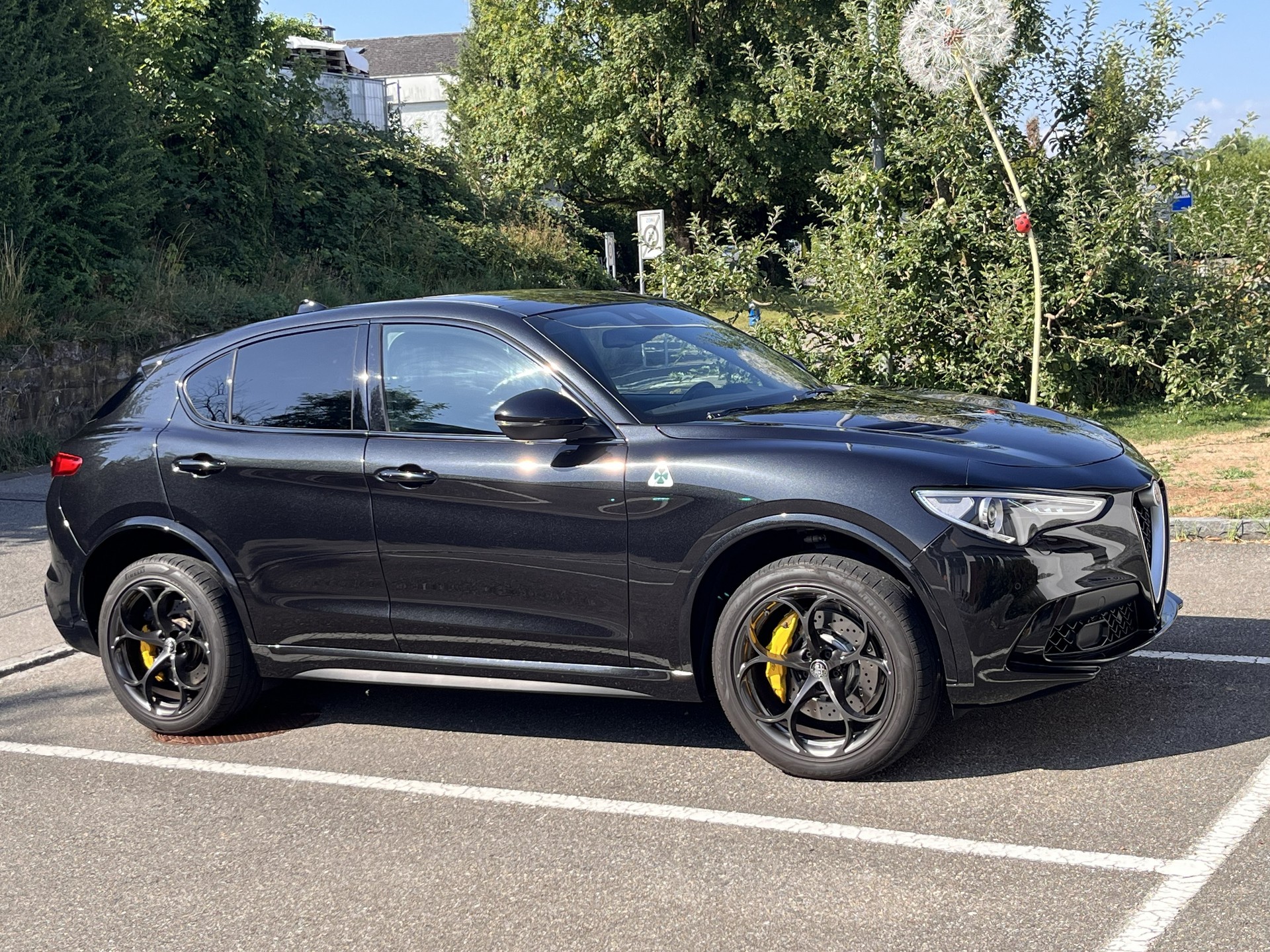 ALFA ROMEO 2.9 V6 Biturbo Q4 Quadrifoglio-image-3