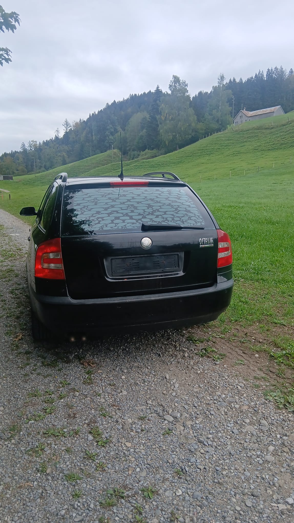SKODA Octavia 2.0 TDI Swiss Adventure 4x4-image-3