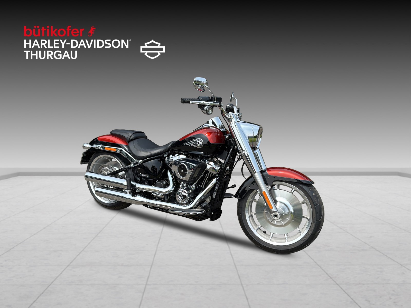 HARLEY-DAVIDSON FLFB Fat Boy 117-image-0