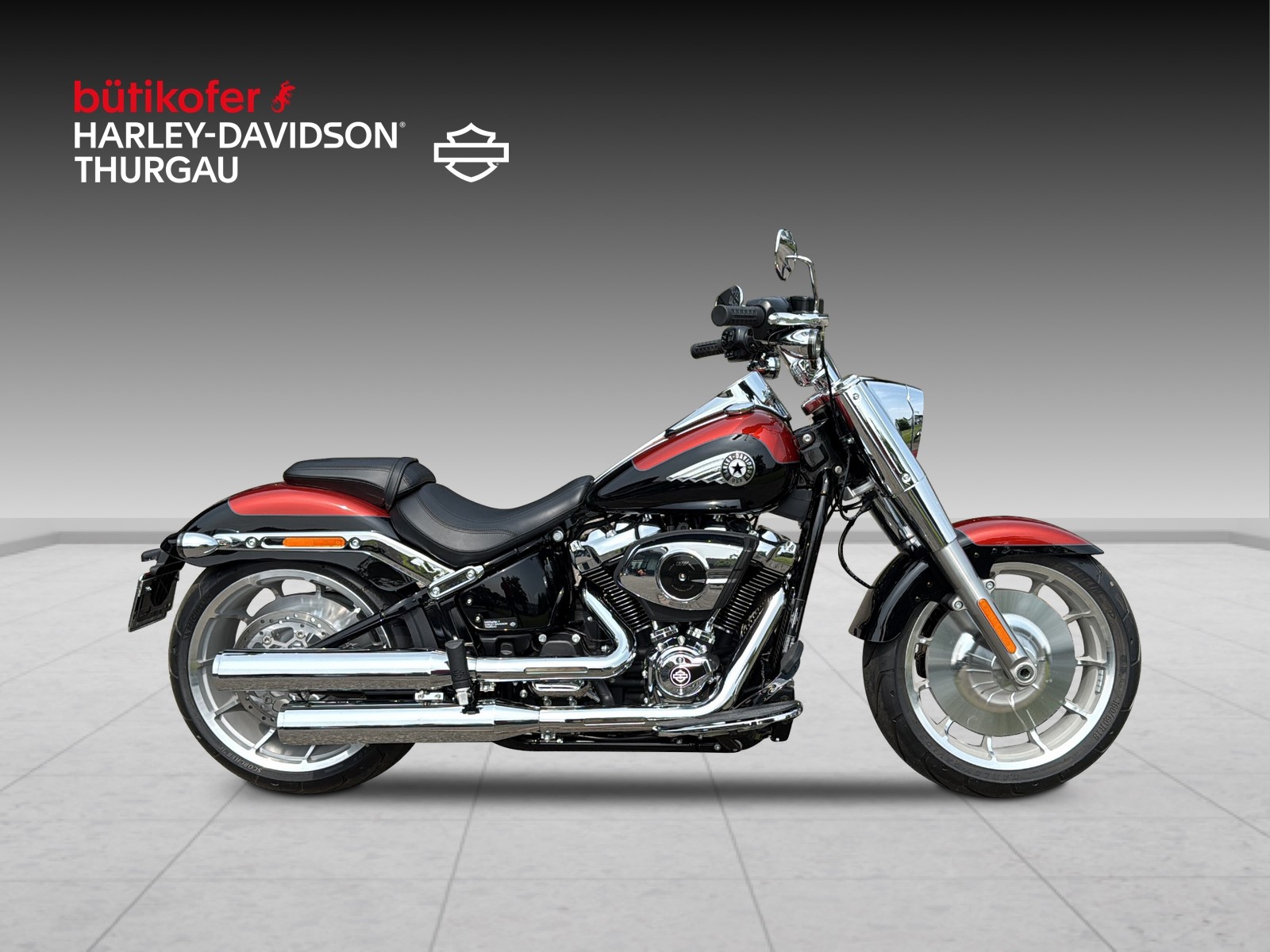 HARLEY-DAVIDSON FLFB Fat Boy 117-image-1