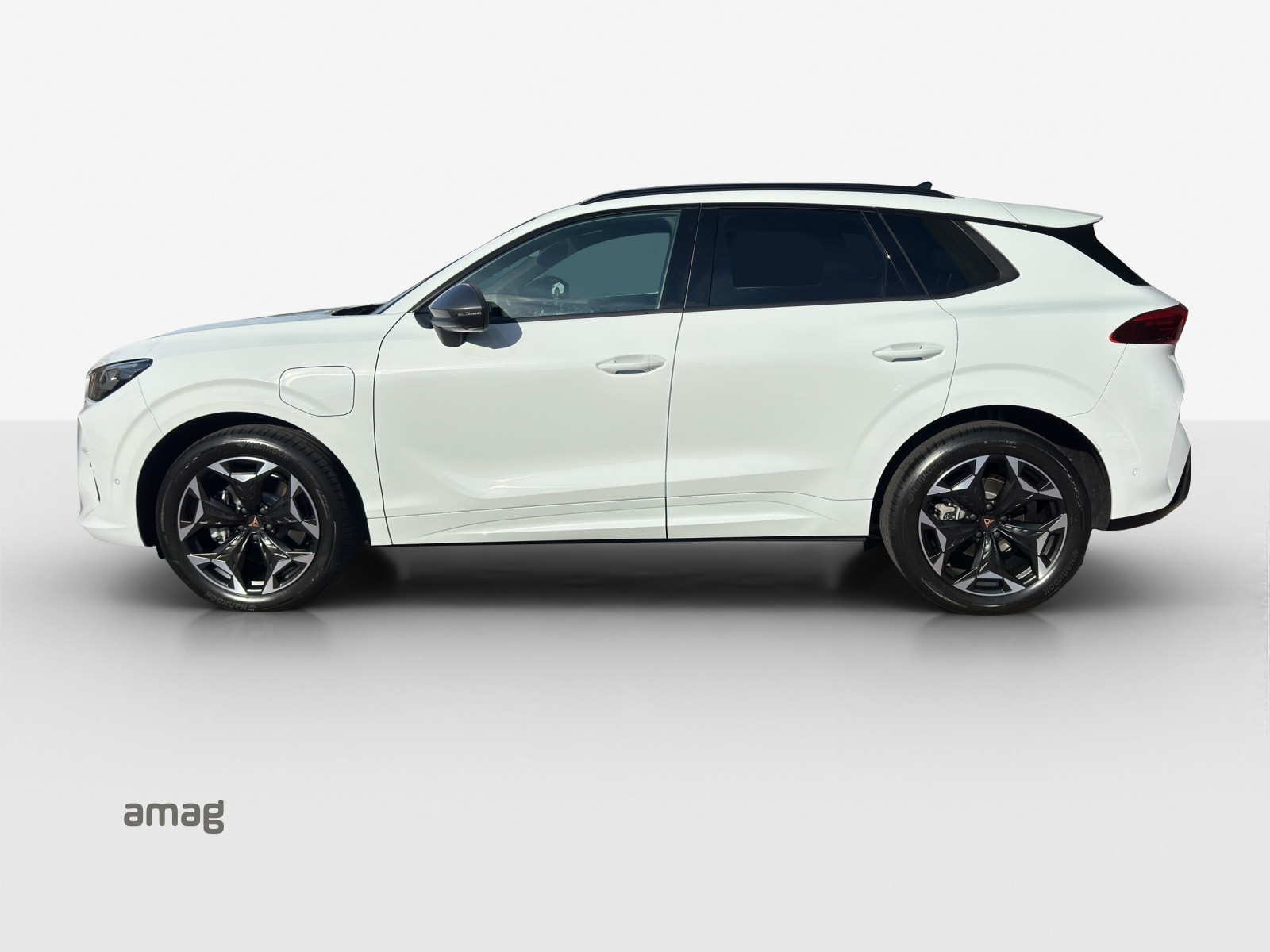 CUPRA Terramar 1.5 eHybrid DSG Business Edition-image-1