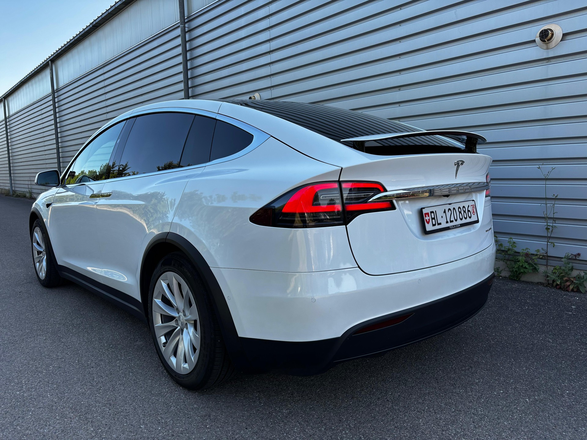TESLA Raven Long Range plus-image-2