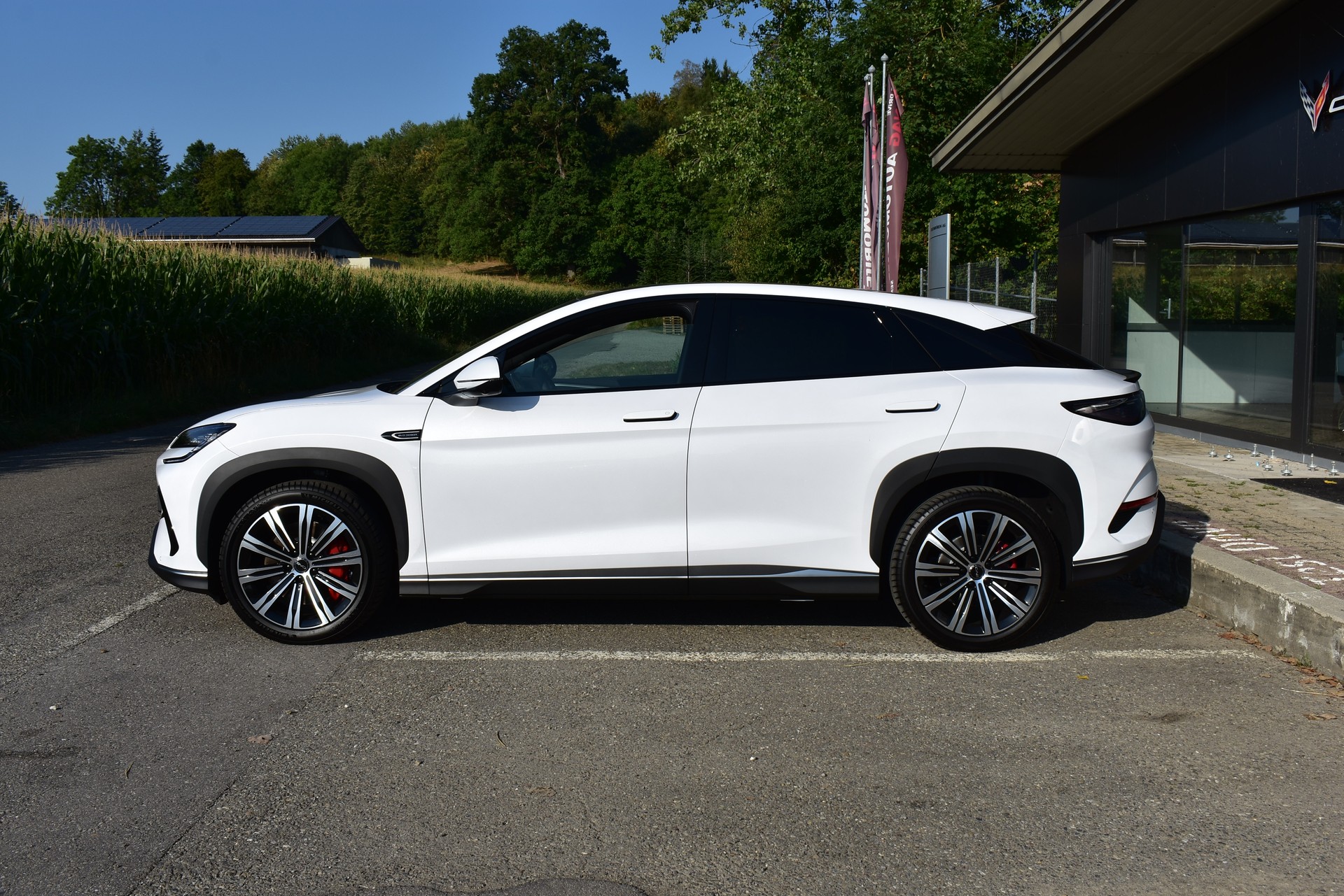 BYD Sealion 7 91,3 kWh Excellence AWD-image-3