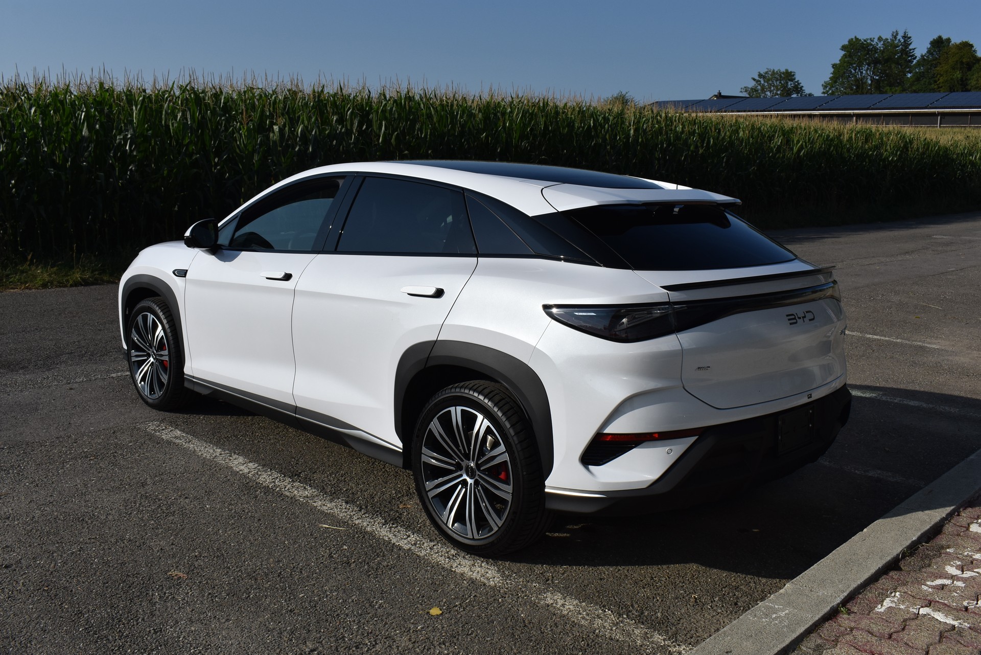 BYD Sealion 7 91,3 kWh Excellence AWD-image-4