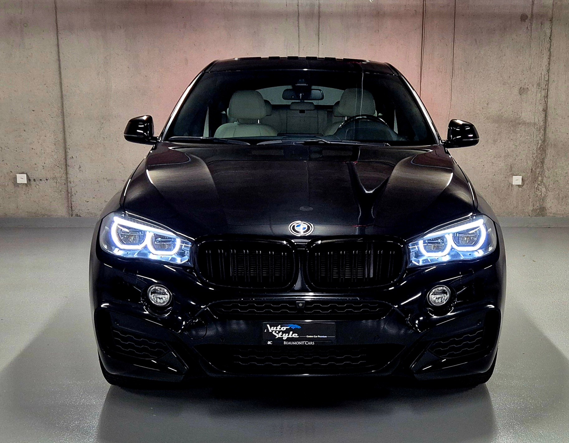 BMW X6 xDrive 40d Steptronic M-Sport-showroom-element-1