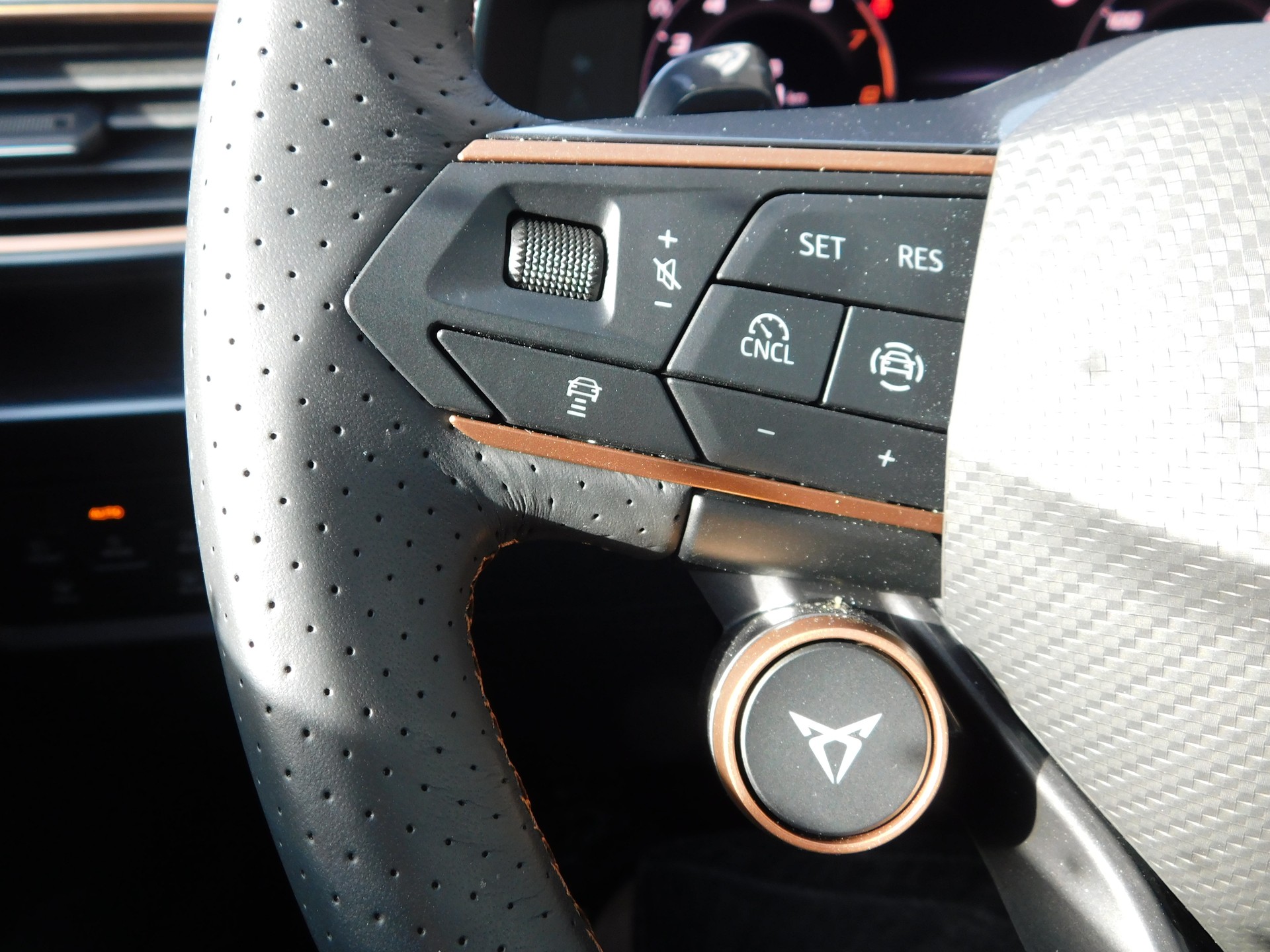 CUPRA Formentor 1.5 TSI DSG-image-13