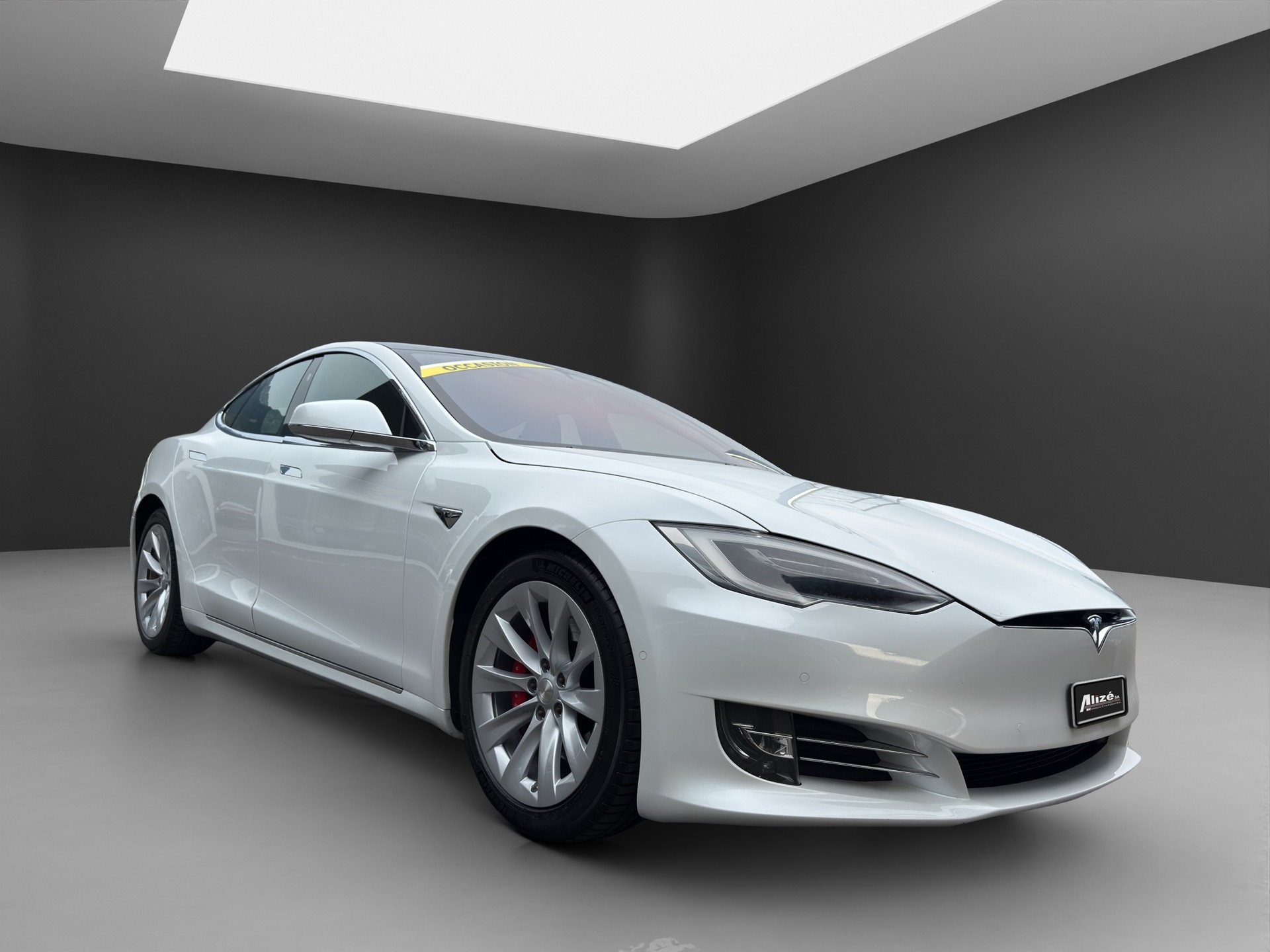 TESLA Model S Performance-image-8