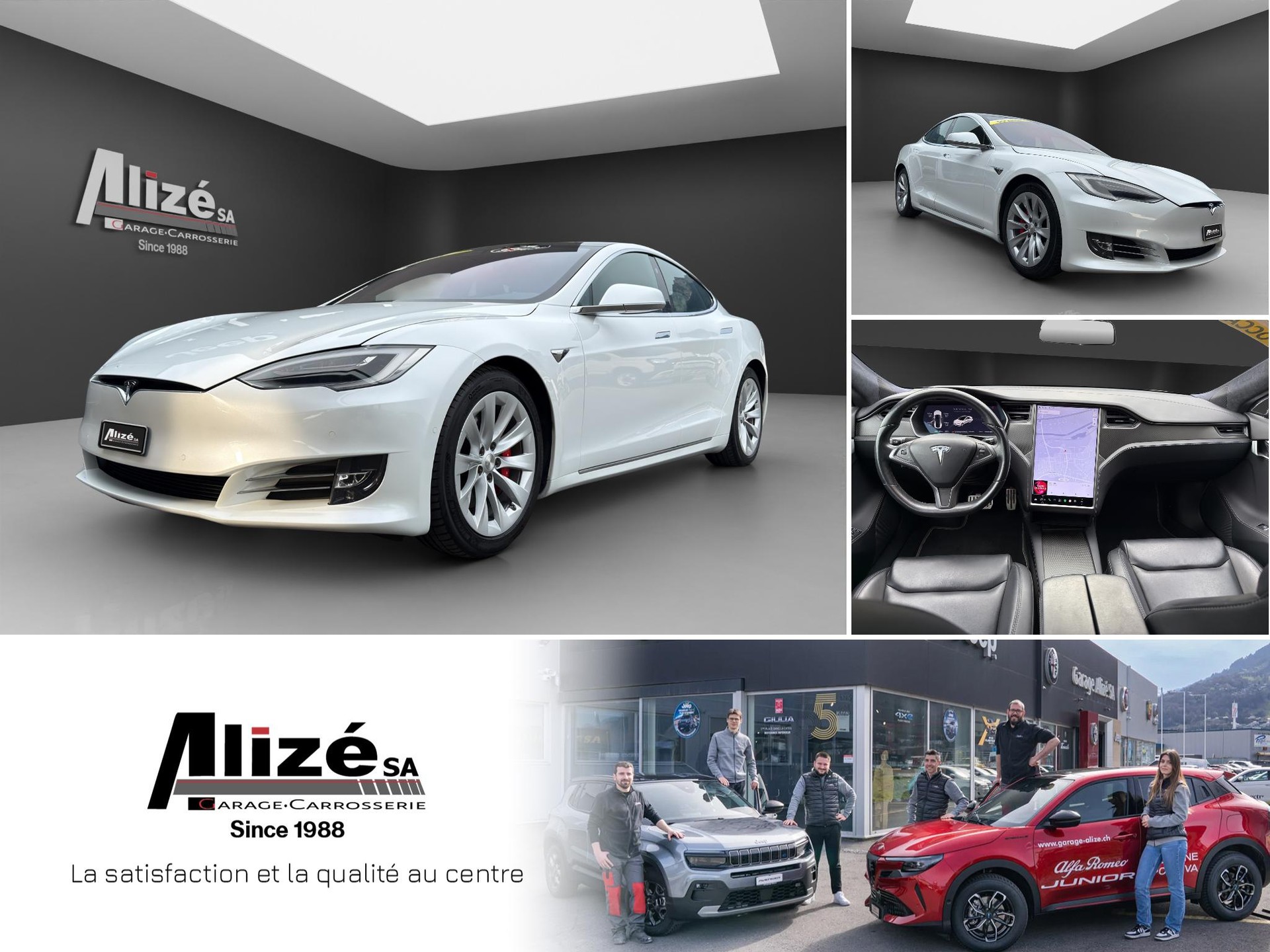 TESLA Model S Performance-image-0