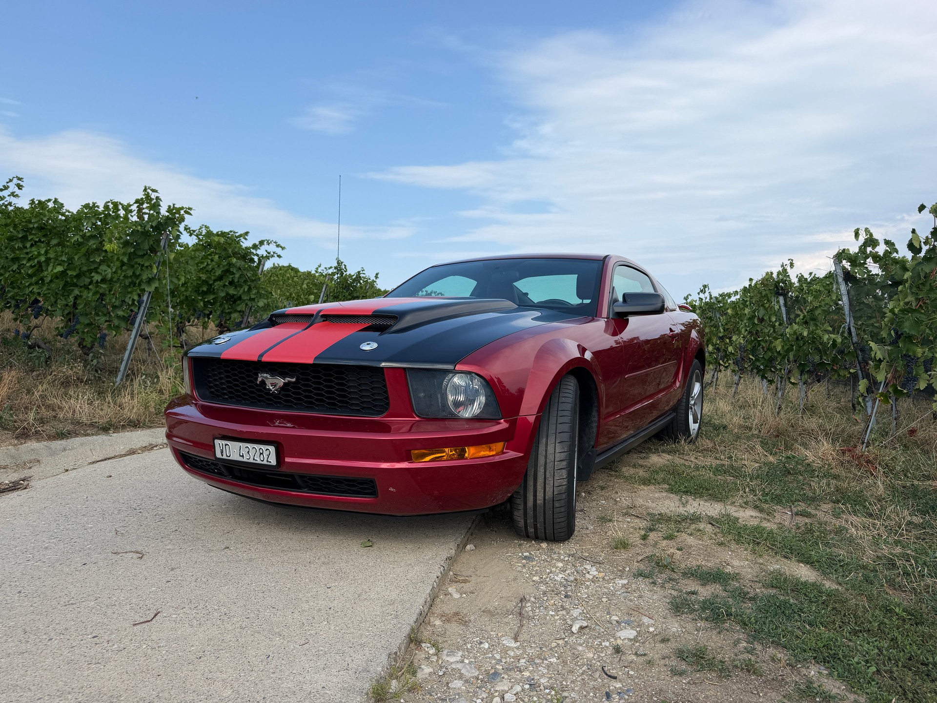 FORD MUSTANG-image-1