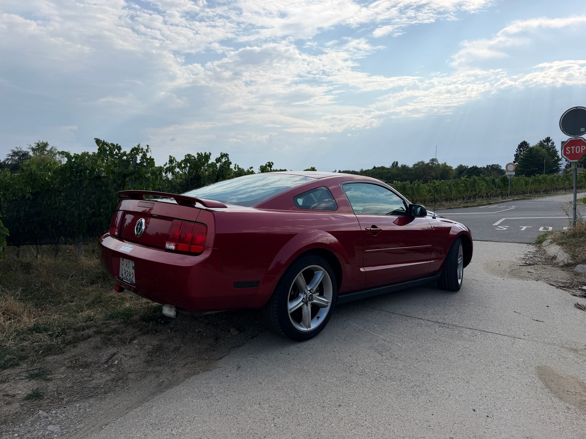 FORD MUSTANG-image-2