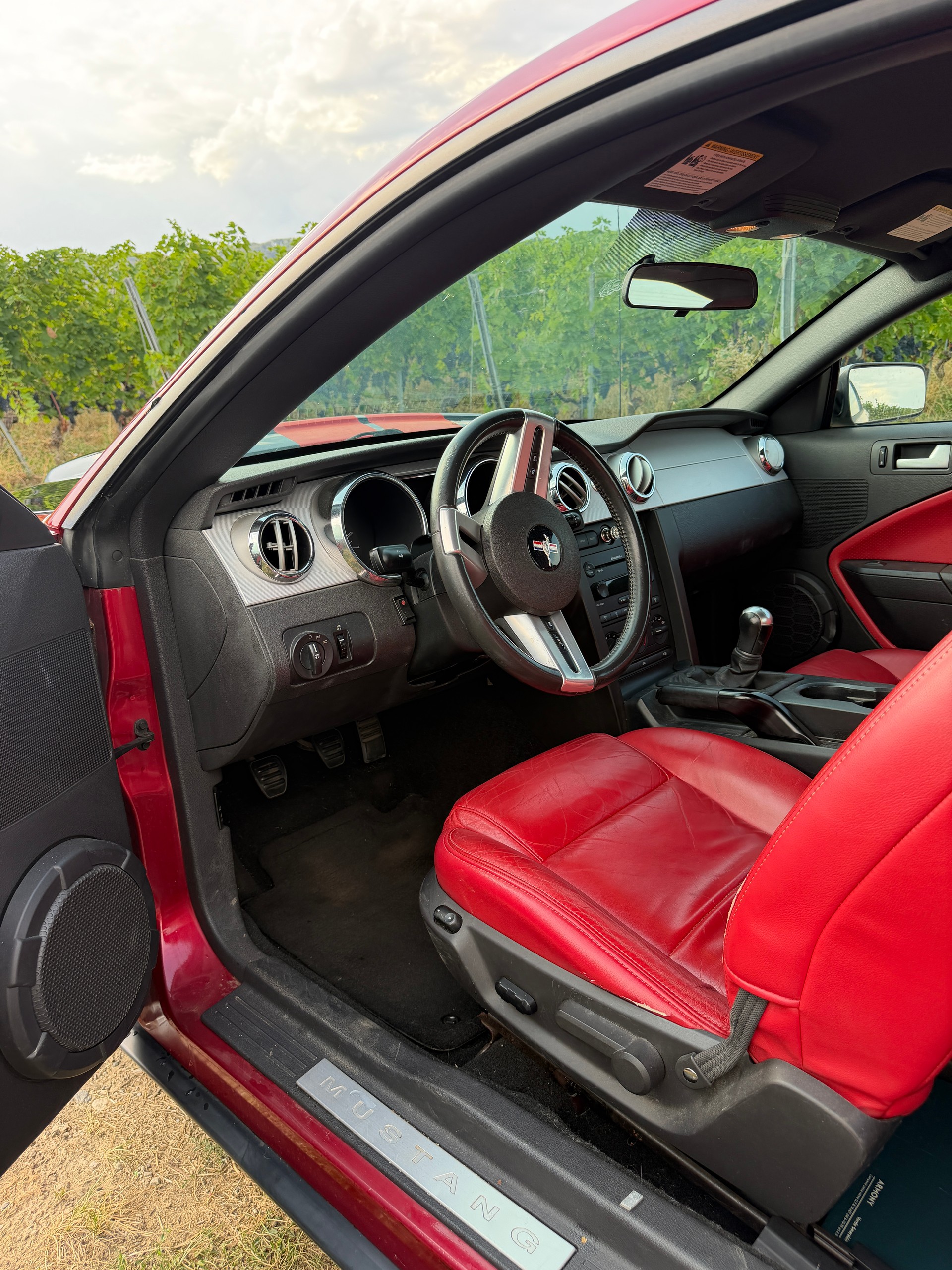 FORD MUSTANG-image-4