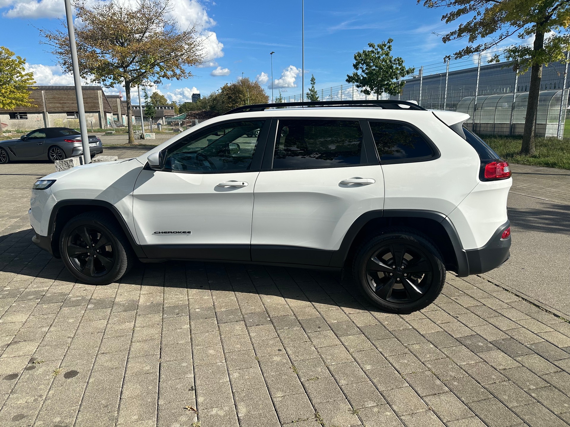 JEEP Cherokee 2.2TD Night Eagle AWD 9ATX AD-image-6