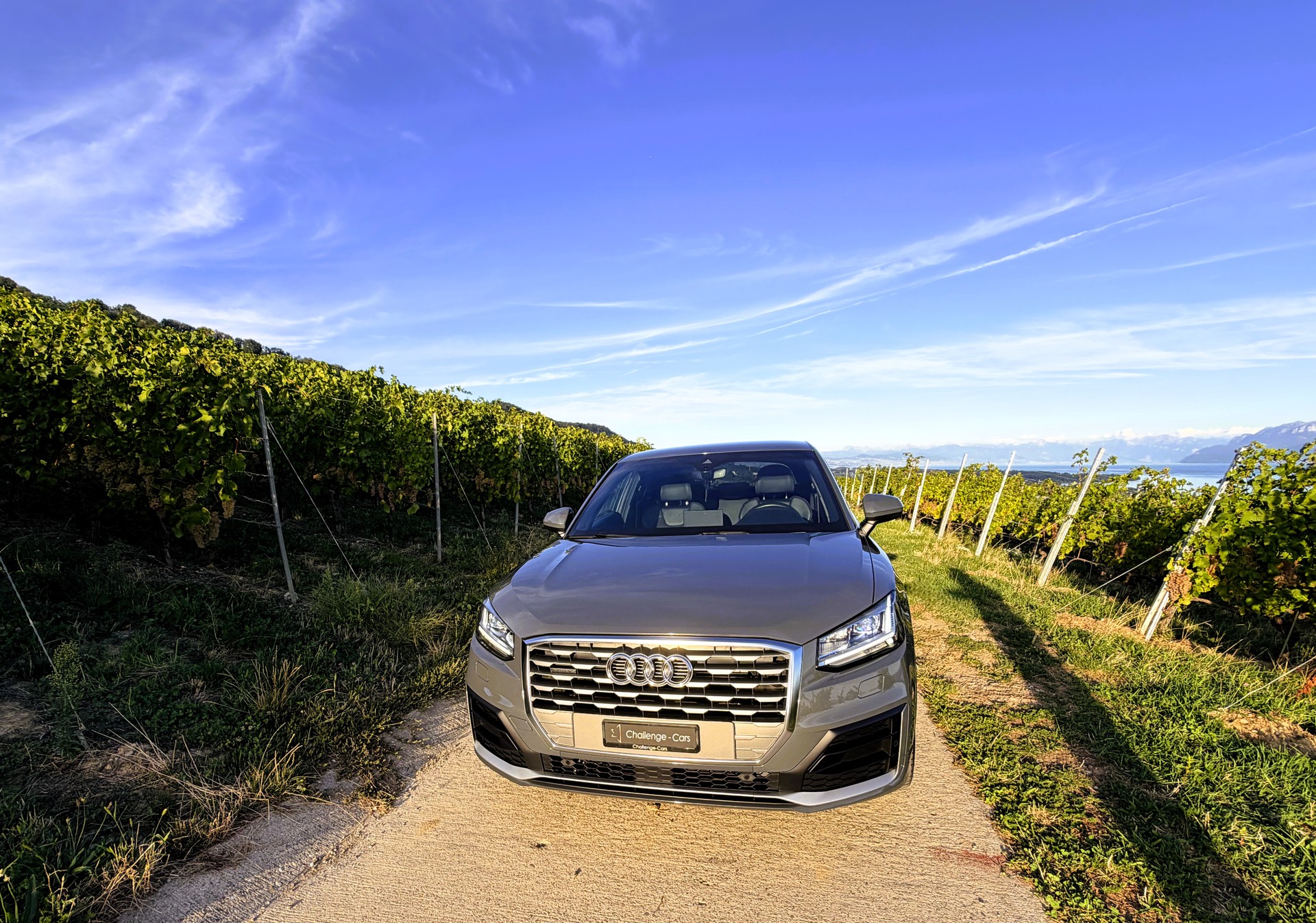 AUDI Q2 40 TFSI Sport quattro S-tronic-image-12