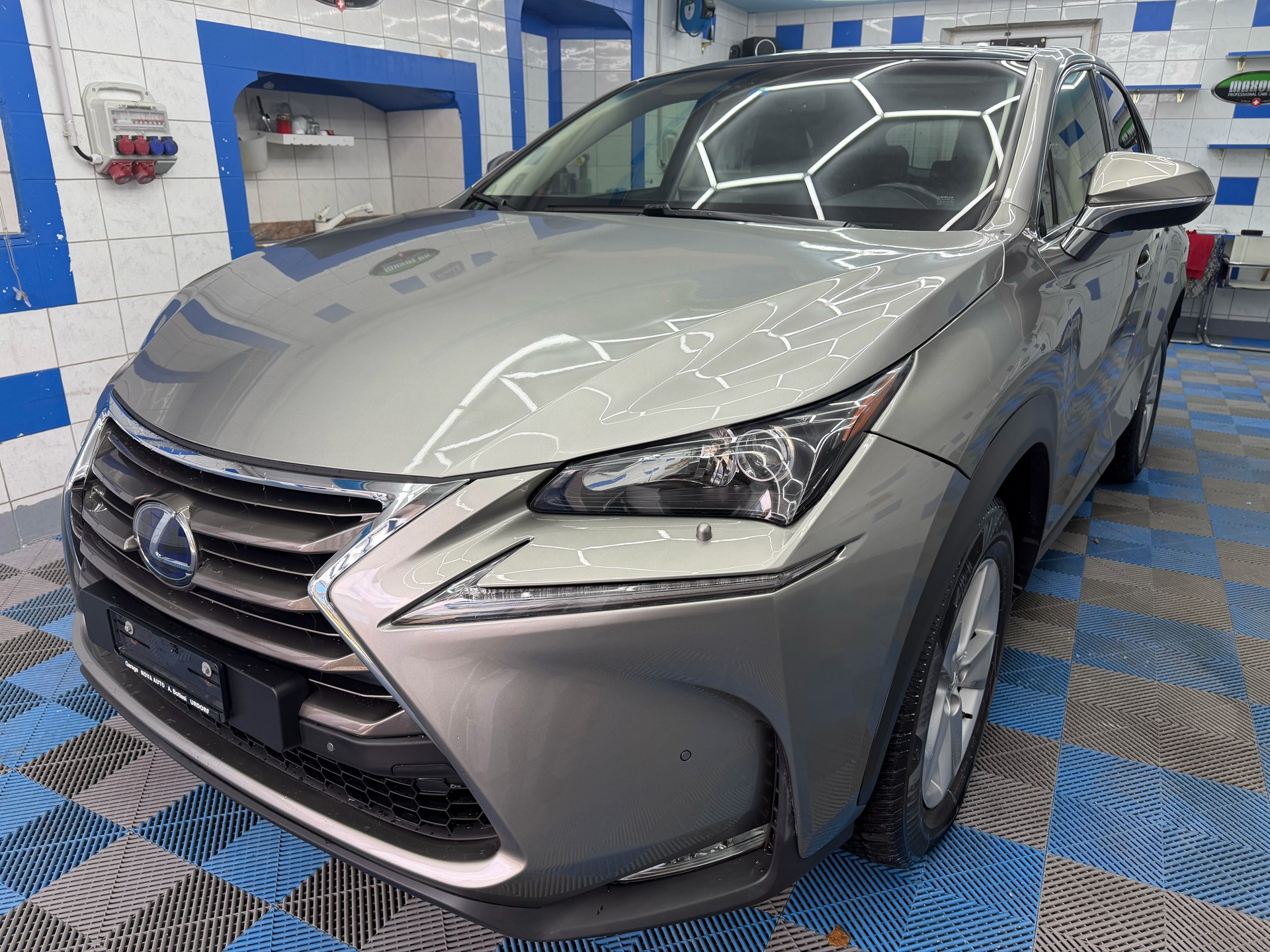 LEXUS NX 300h business E-Four Automatic-image-1
